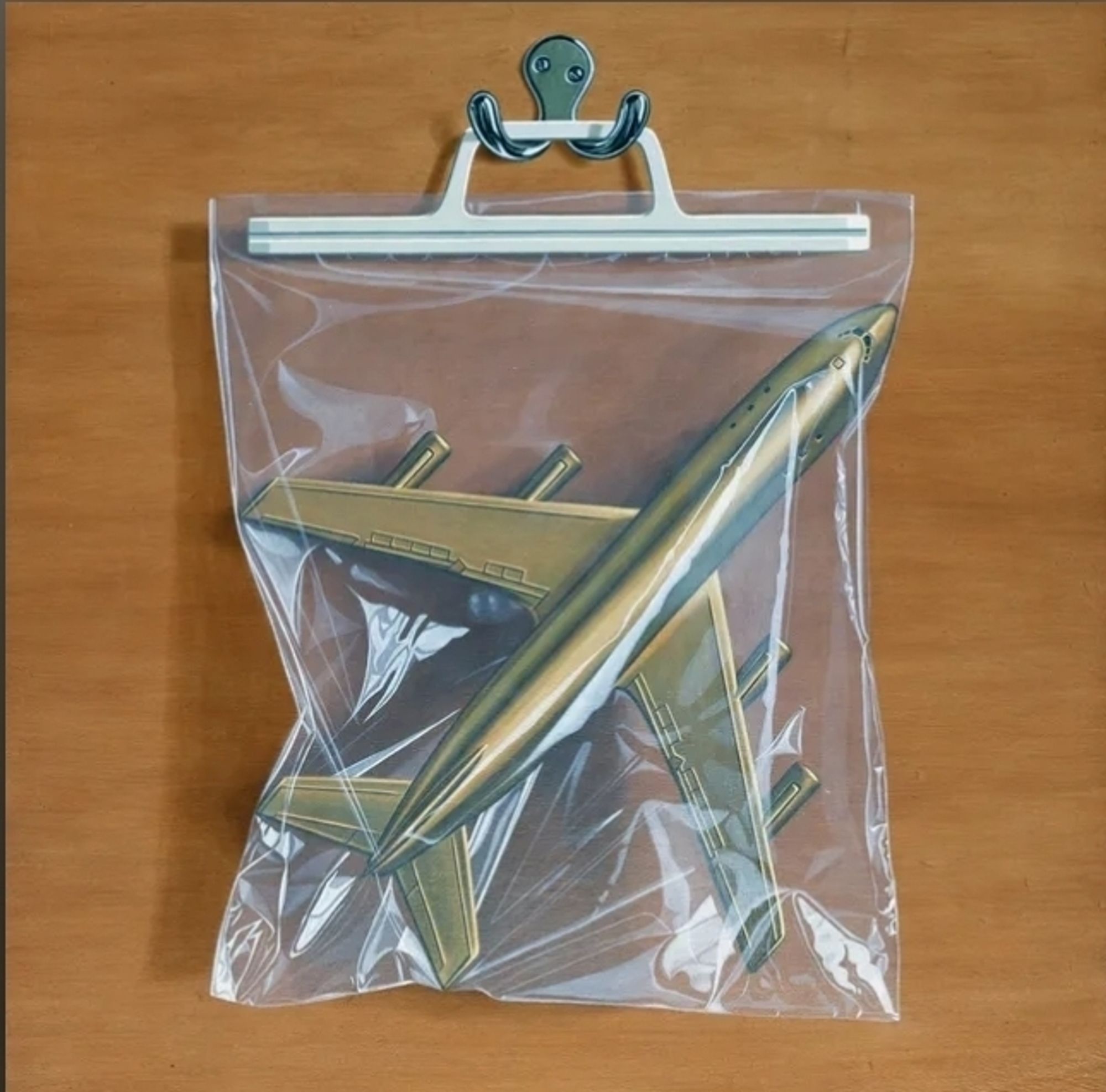 The cover for the qlbu. Ants From Up There, by Black Country, New Road. It depicts a golden toy airplane in a ziplock bag which is hung on a wooden background by a small metal piece.