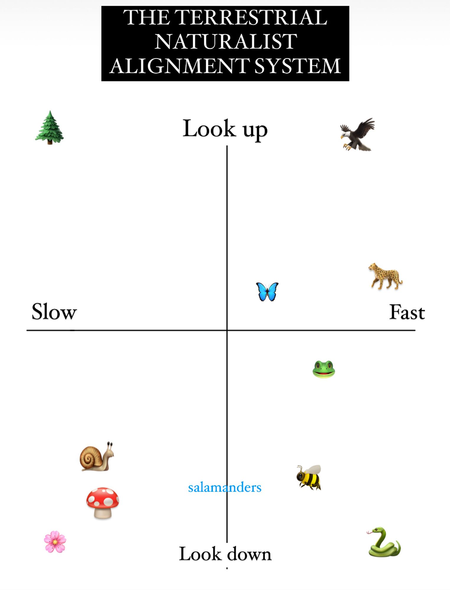 Header: The Terrestrial Naturalist Alignment System

Body: a four quadrant chart. The horizontal bar is labeled “slow - fast” and the vertical is labeled “look up - look down”