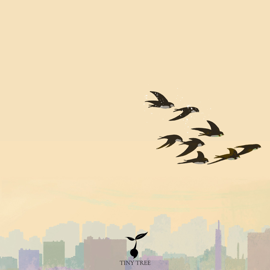 Illustration of a small flock of eight swifts flying against a sand-coloured background over a multi-coloured cityscape.