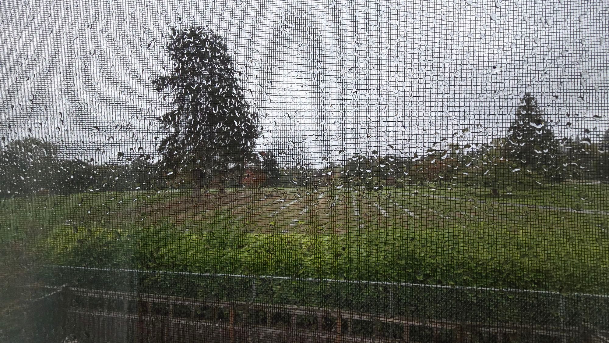 A imagem mostra uma paisagem ao ar livre vista através de uma tela de janela coberta de gotas de chuva. Ao fundo, há um campo gramado com árvores e uma cerca de arame. O céu está nublado e a chuva, que escorre pela tela, cria um efeito de distorção, destacando as gotas em primeiro plano.