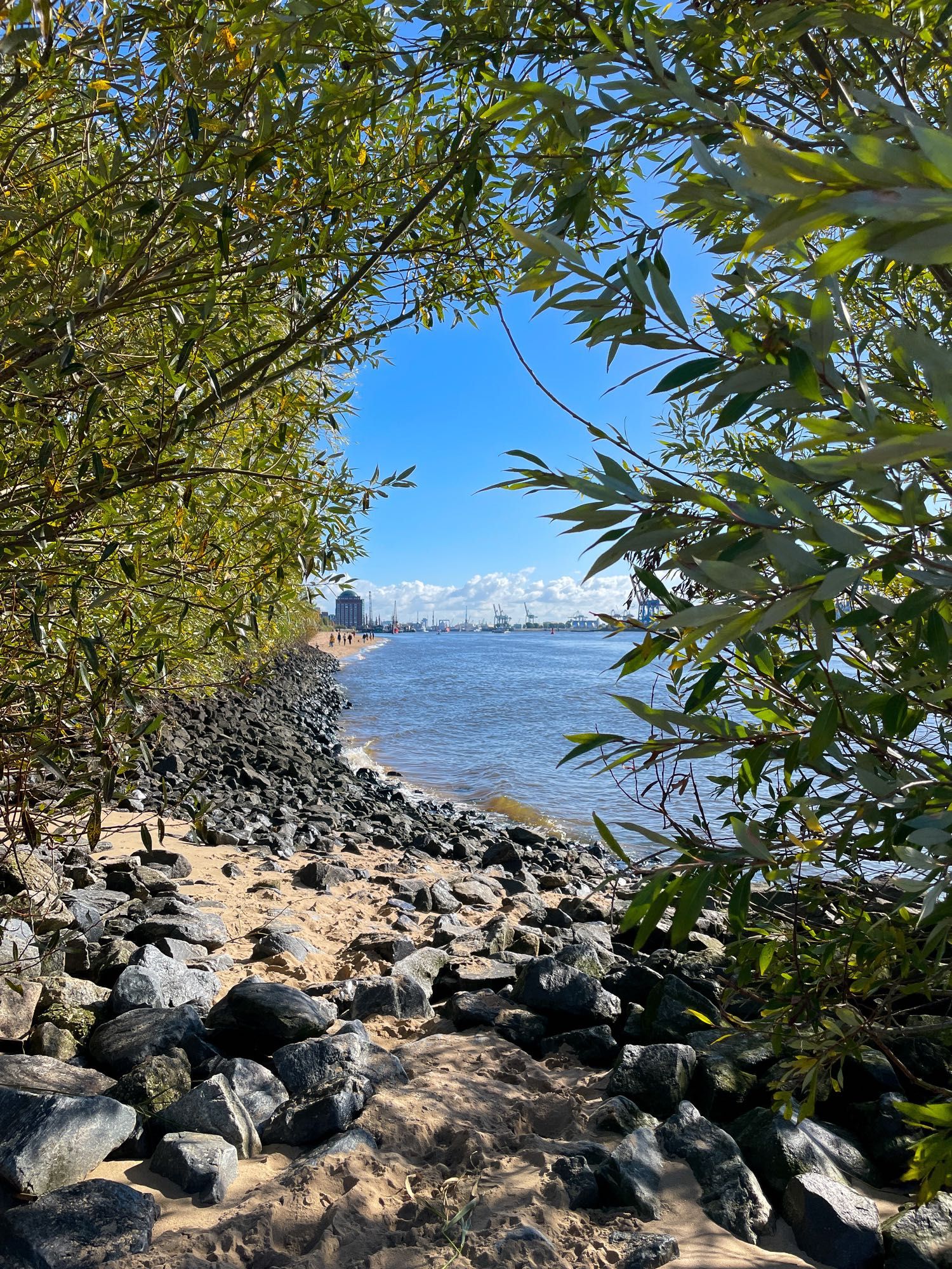 Büsche am Elbstrand, im Hintergrund ist die Skyline des Hamburger Hafens zu sehen.