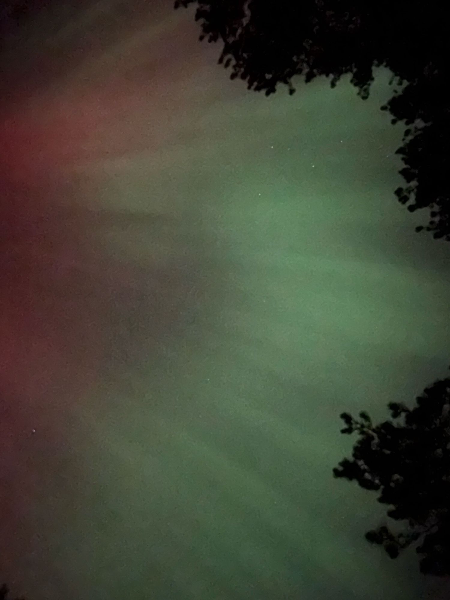 Red and green aurorae