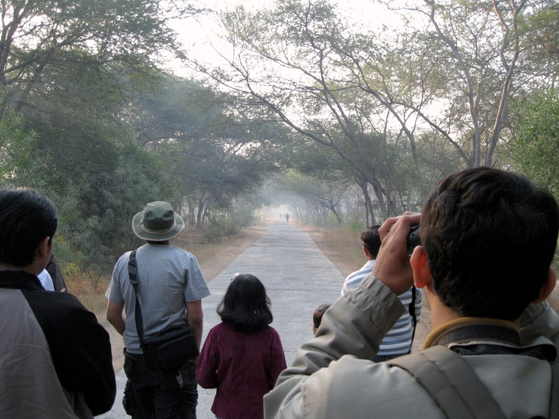 Wikipedia image of people bird-watching