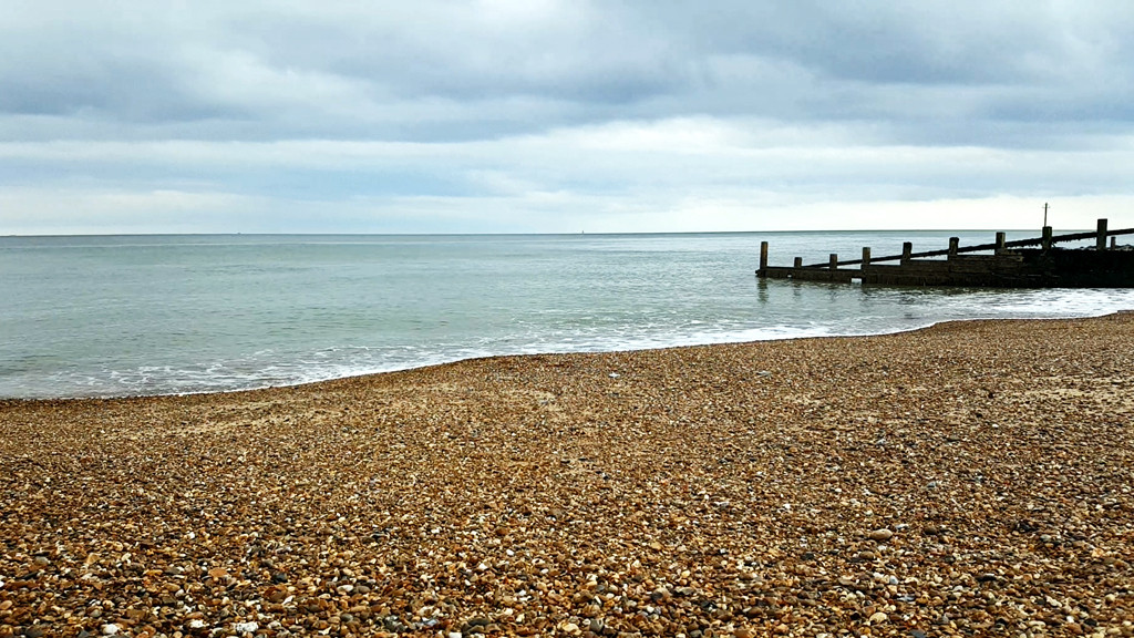 empty shingle beach on a grey day. gulls resting on the wooden posts of the groynes.