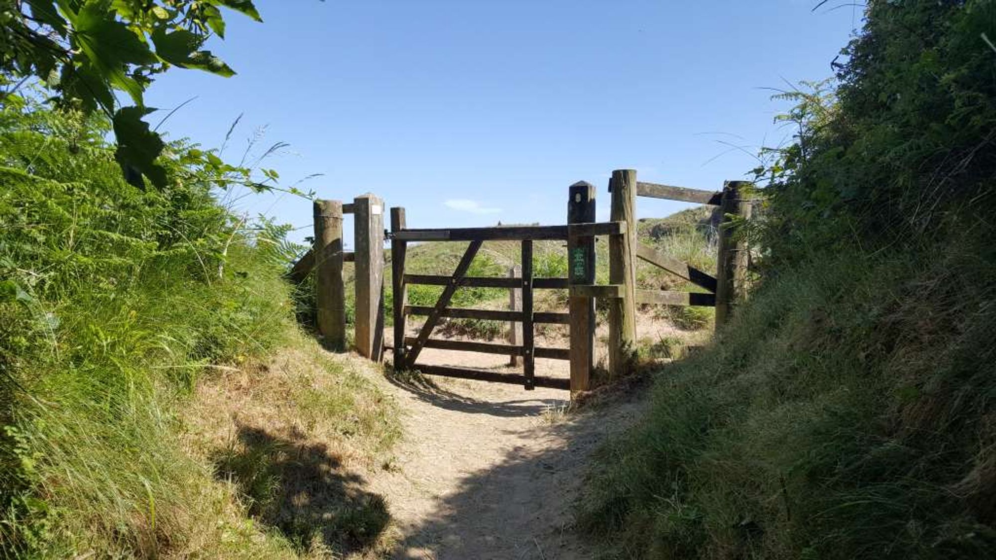 wooden gate leading out from a path in the woods to headland looking out to sea. this is a warm, beautiful day. the path is sandy. there is no one else here.