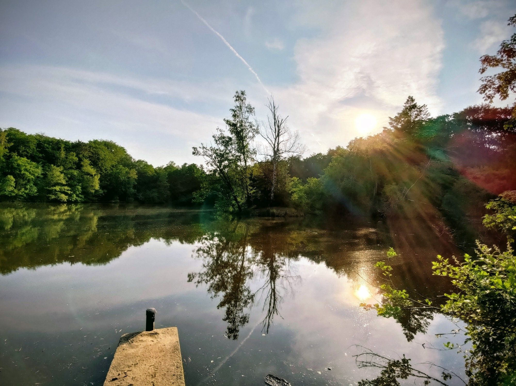 Ansicht vom Buchrainweiher