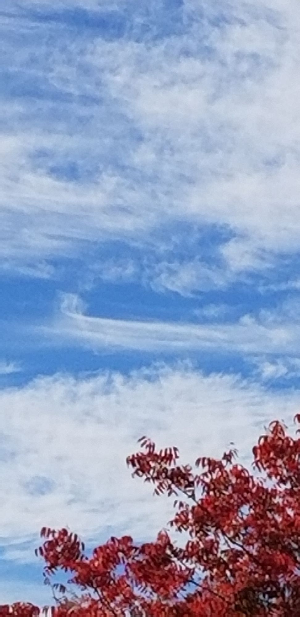 Cloud painted blue skies with red orange fall trees