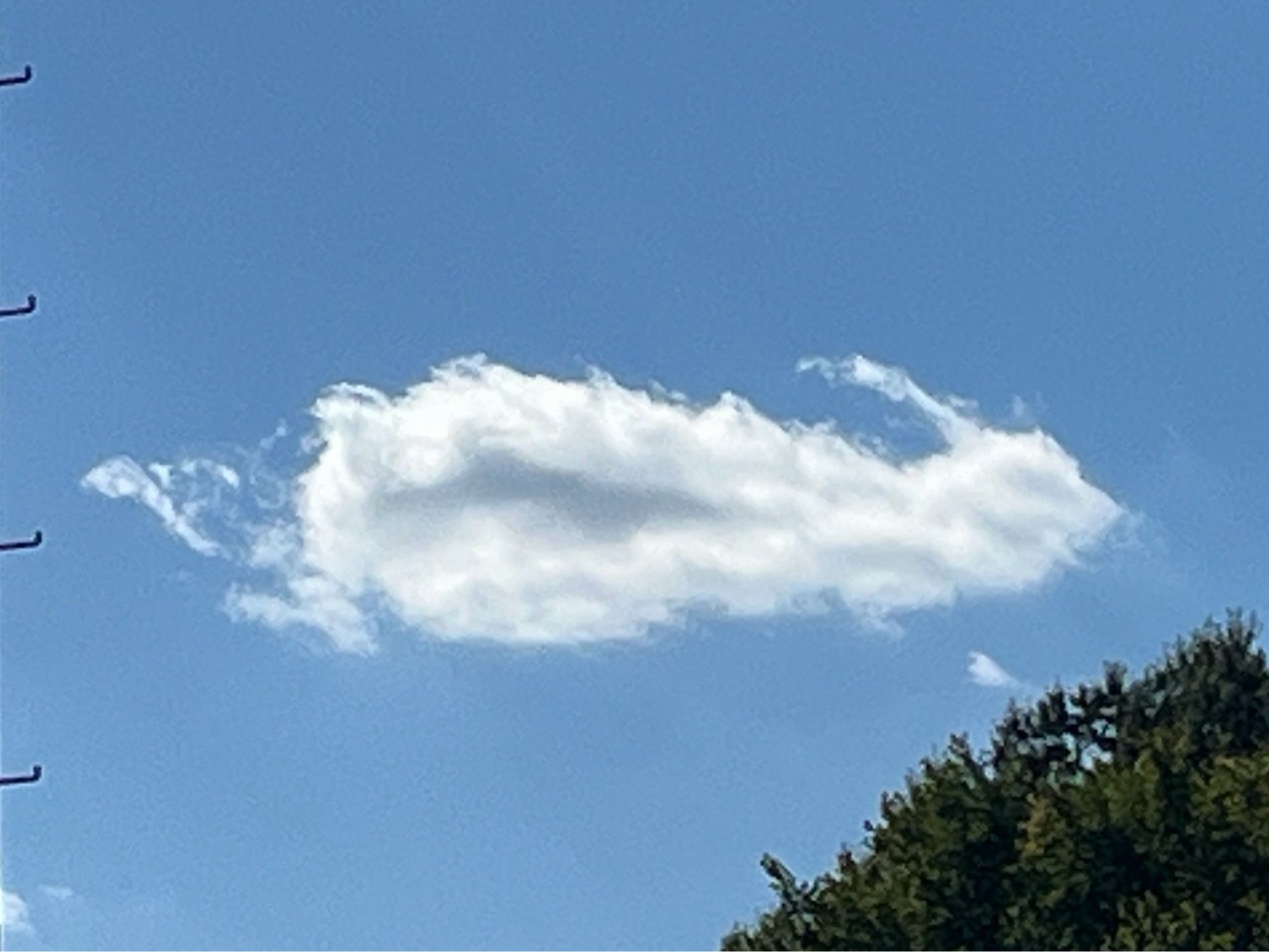 Fair weather cumulus cloud in the shape of a white house rabbit...