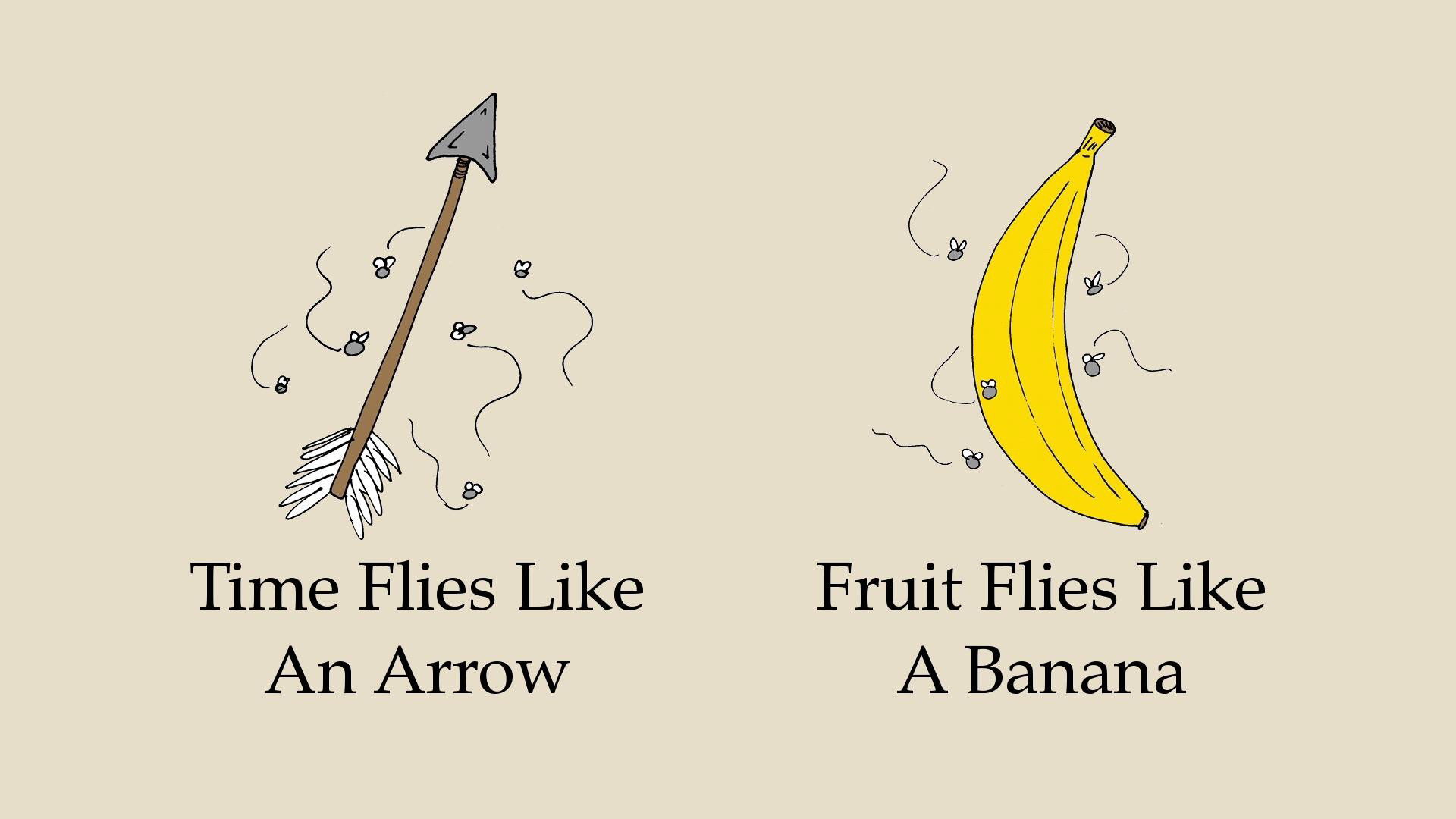 Time Flies Like
An Arrow 

Fruit Flies Like
A Banana 🍌 