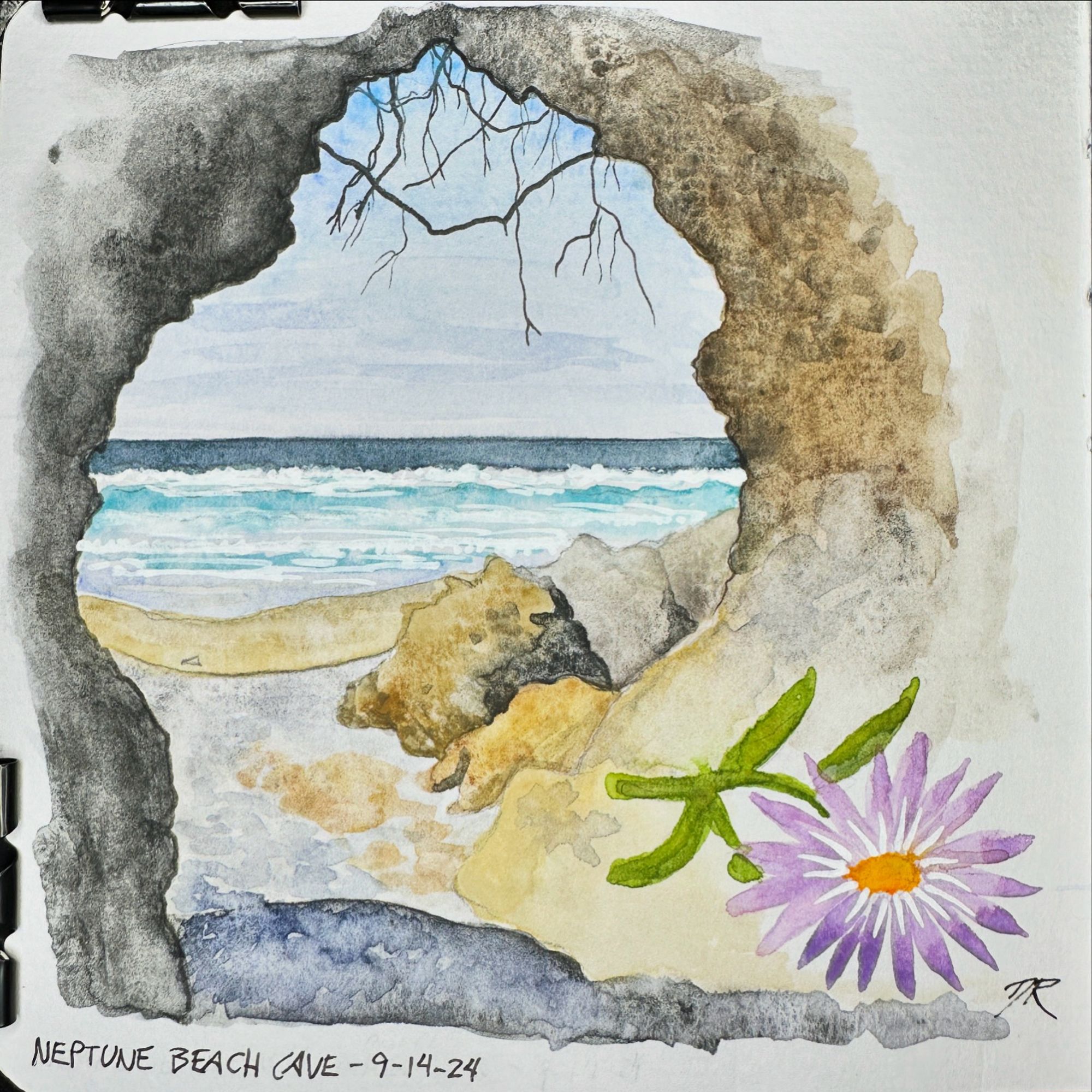 A watercolor painting on toned gray paper of the ocean seen through the dark arch of a sea cave. Roots dangle down from the roof, the sea shows layers of white waves and blue water washing onto a gravel beach. The sky is blue with layers of cloud. In the lower right corner, a small purple daisy with a yellow center and green leaves is rendered, lying horizontally with the plucked stem extending towards the left.