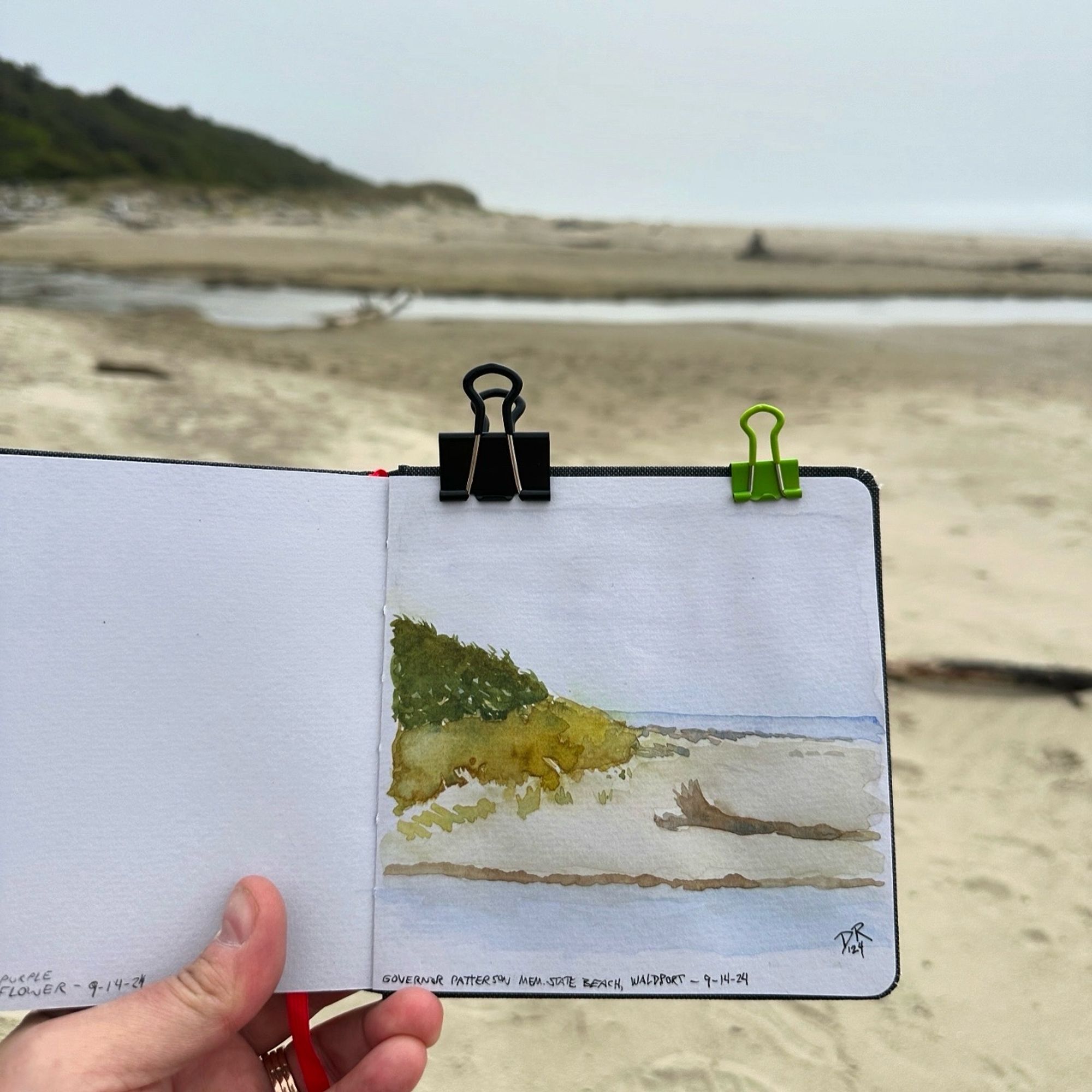 A watercolor journal held up against an ocean setting, with green forested hills sloping down into yellow-green beach grasses and a driftwood-laden sand beach. The skies are light but overcast. Painted in the journal is a simple watercolor of the scene.