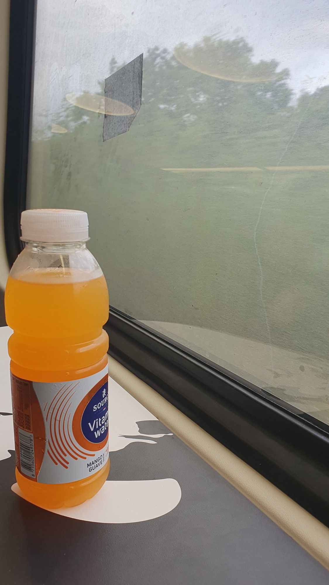 Photo in the train. A bottle of vitamin water standing on a small table, next to the train window. Outside, the train is passing by green trees at high speed.