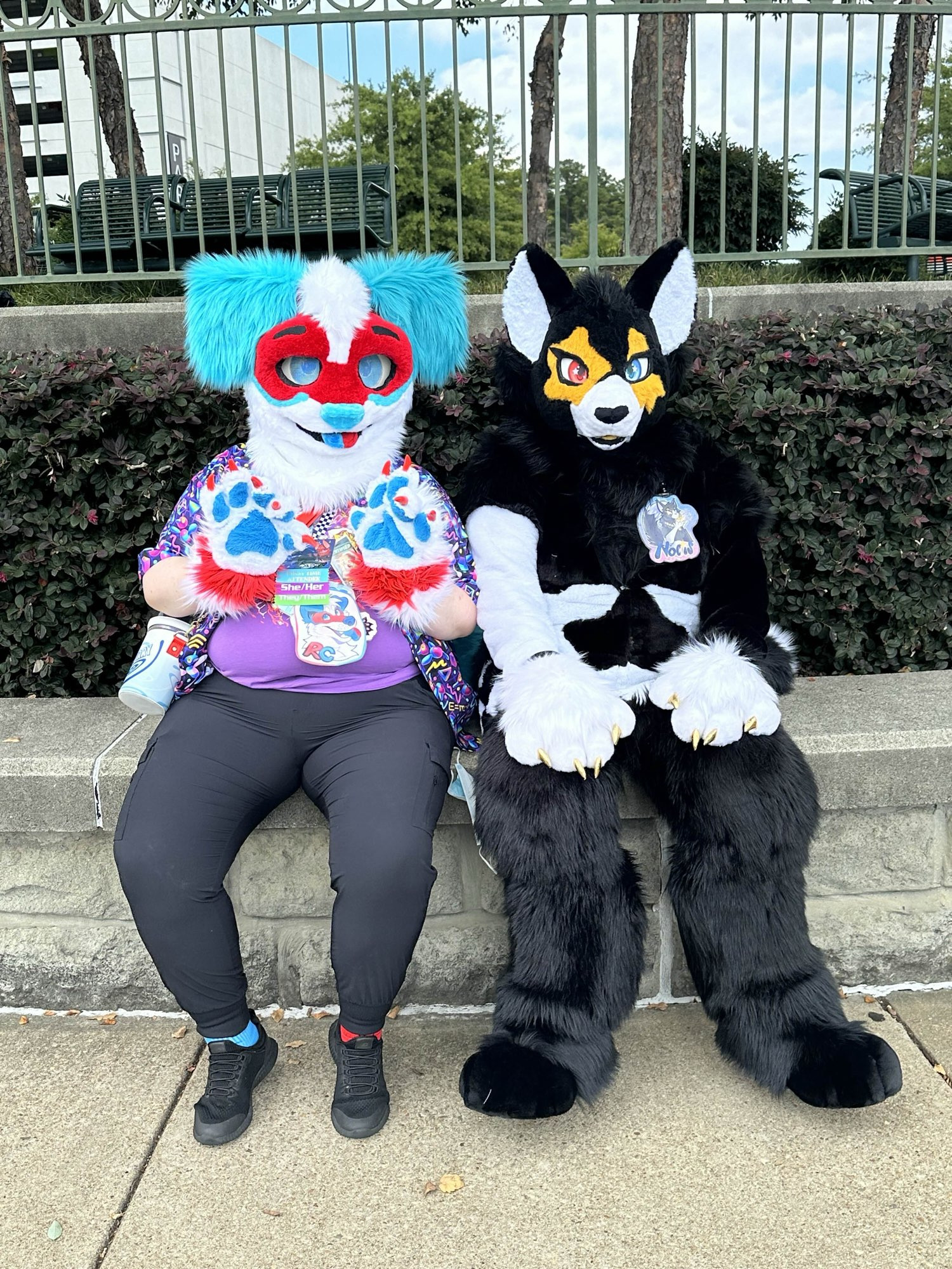 A dog fursuiter and a cat fursuiter sit together on a concrete railing in front of bushes and more park scenery above and behind them