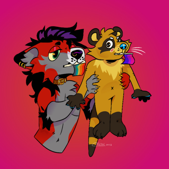 Adaven (Red/Grey/Black) the maned wolf, with a Rainbow Pride flag in his mouth, is holding up Sappy (Brown/Yellow/Blue) the raccotter, who has a bisexual Pride flag in her own mouth.
Art by @Celtiic