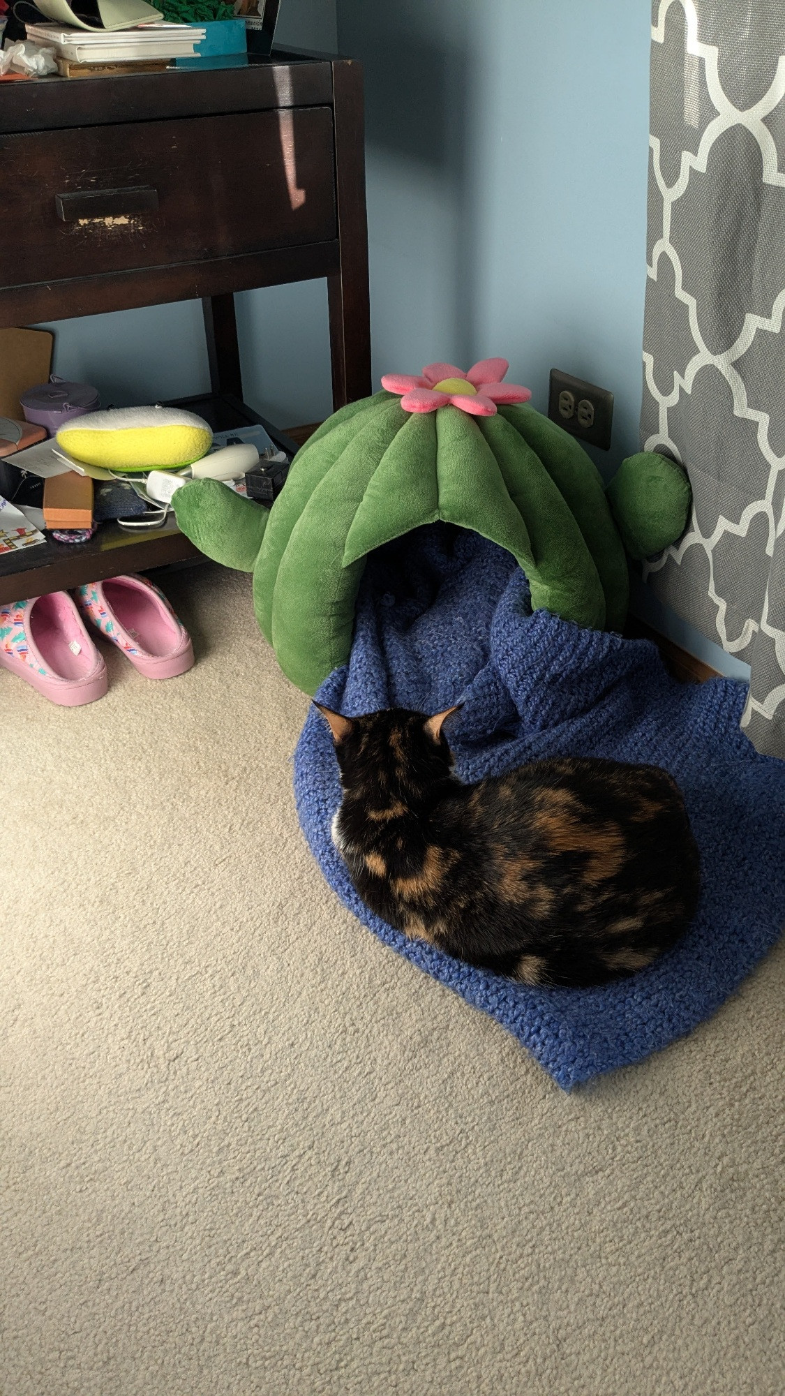 A tortoiseshell cat curled up on a blue blanket, next to a cactus cat bed.