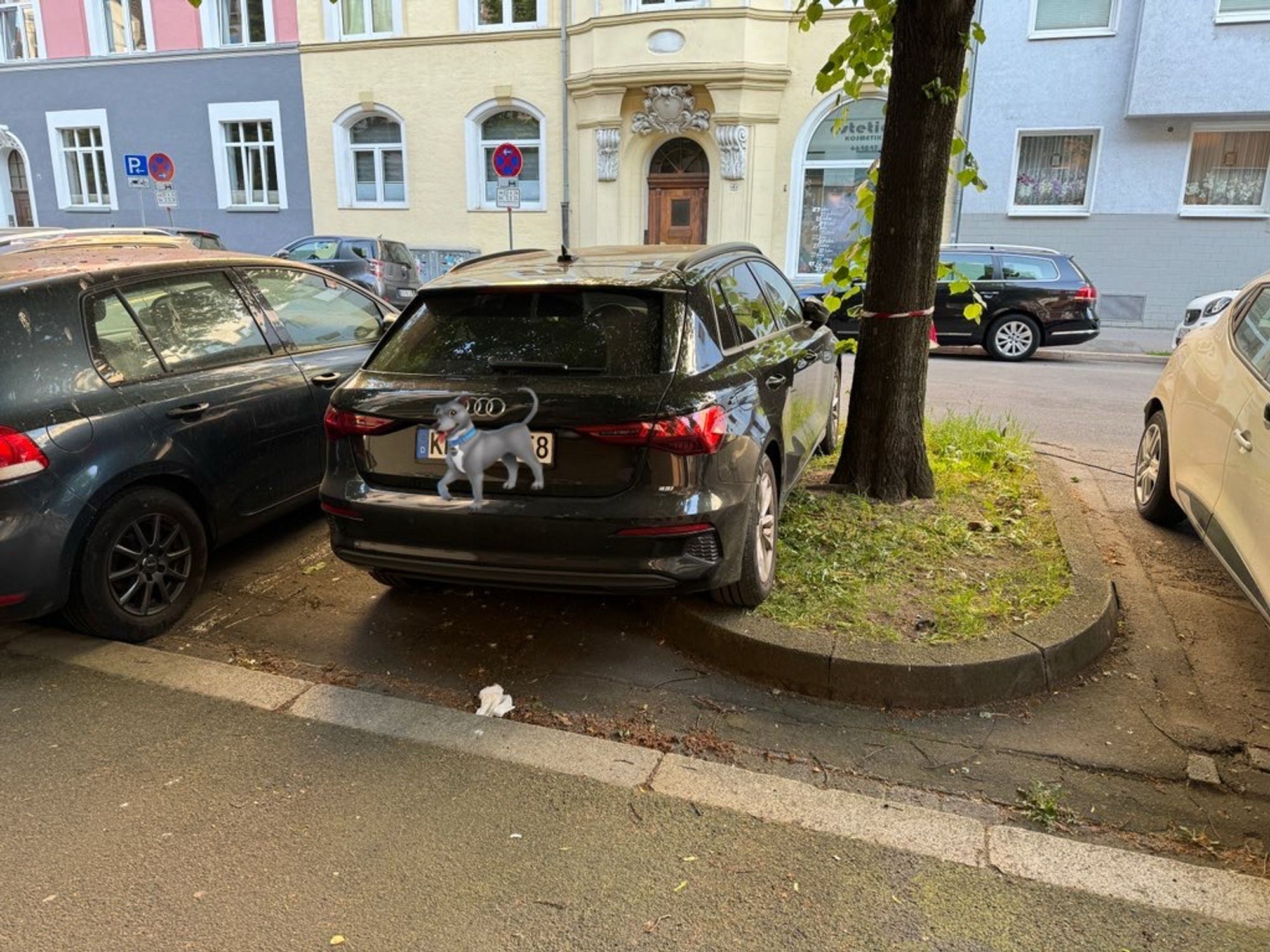 Ein PKW wurde in einer viel zu schmalen Lücke geparkt. Damit es passt, wurde das Fahrzeug mit den rechten Reifen auf der Baumscheibe geparkt