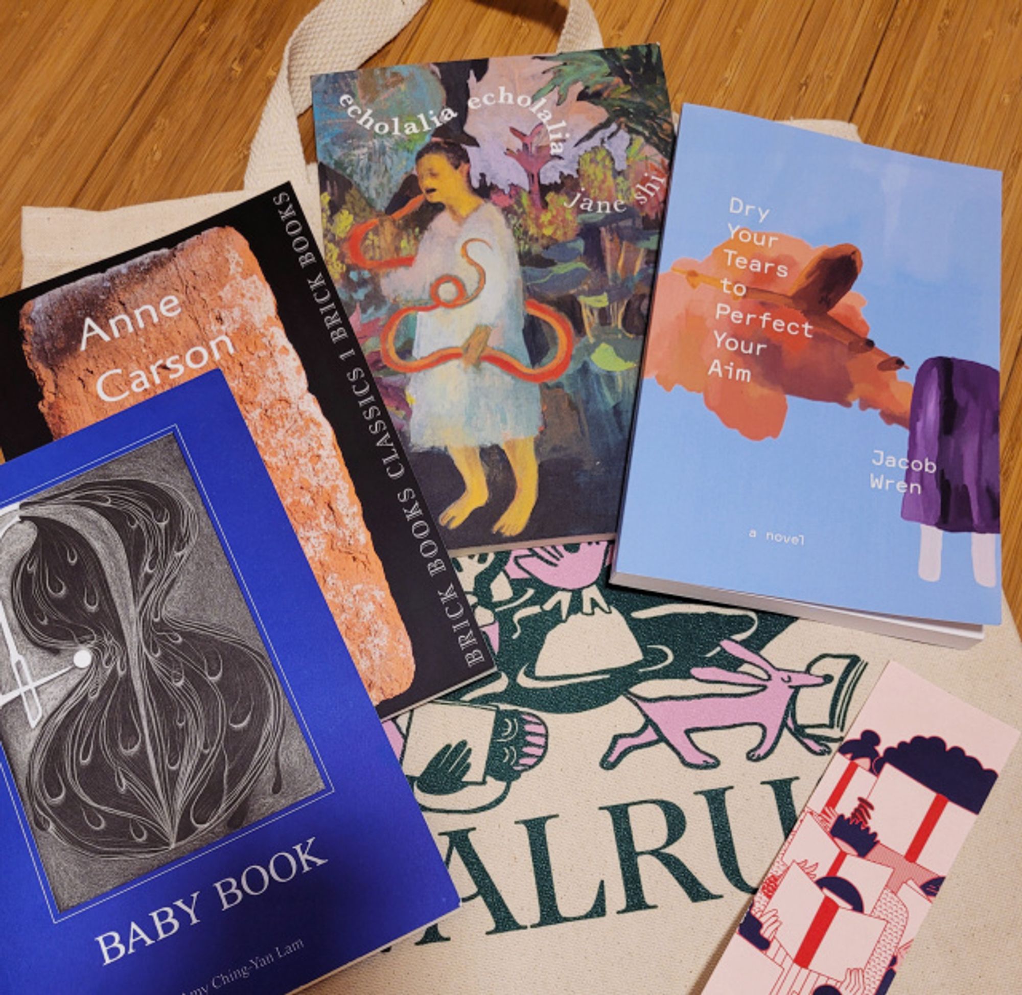 A totebag from The Walrus laid out in the floor above which are copies of the following books: Baby Book by Amy Ching Yan Lam, Short Talks by Anne Carson, Echolalia by Jane Shi, Dry Your Tears to Perfect Your Aim by Jacob Wren