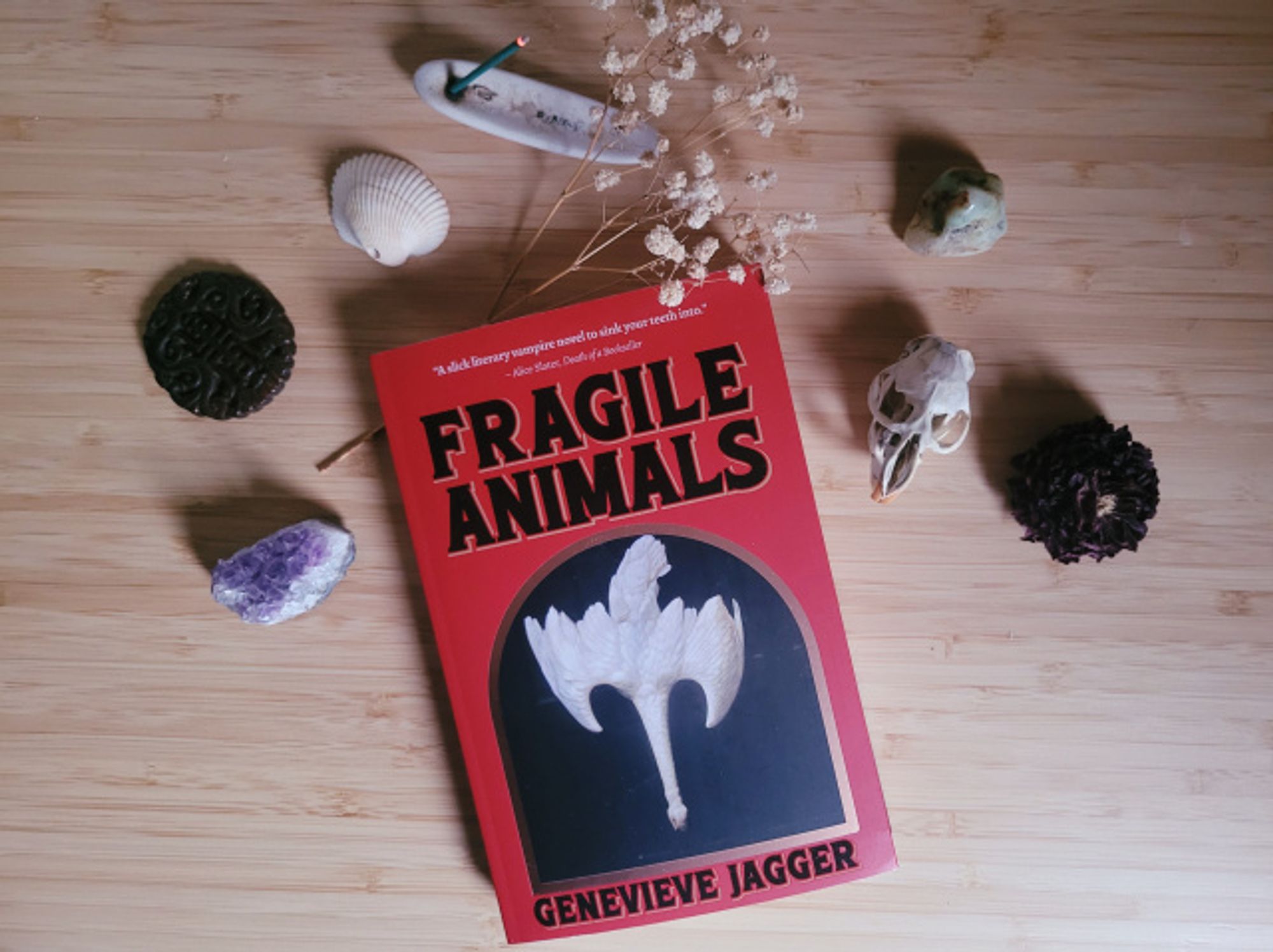 Copy of Fragile Animals by Genevieve Jagger which features a painting of a swan being hung by its feet. The book is set upon a wood desk with incense, dried flowers, a bivalve shell, gemstones and jade and a muskrat skull. It's from the muskrat heads I copped at a community feast when I was living up north. No one eats them, they get totally charred. I cleaned them myself.