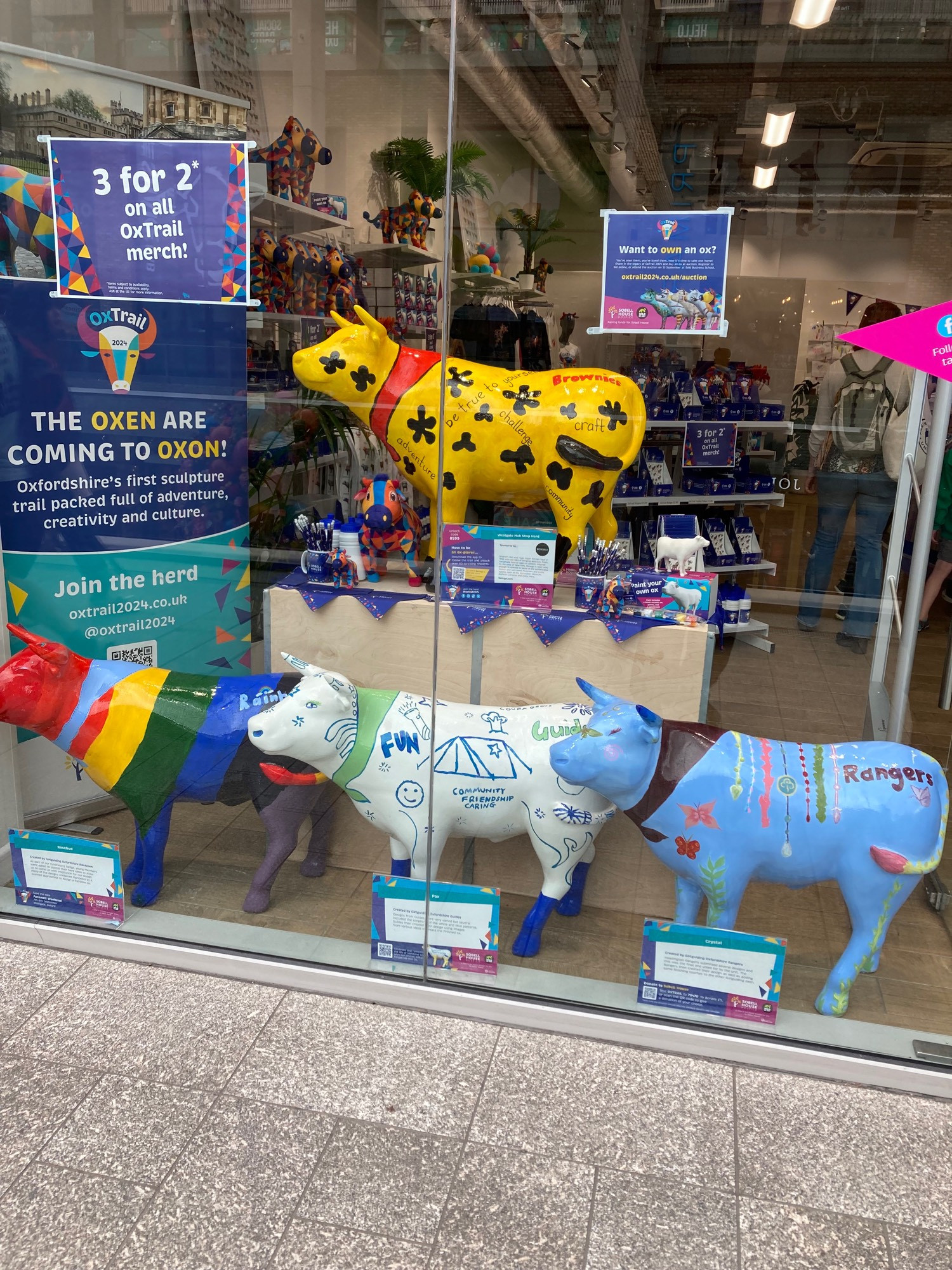 4 mini ox sculptures in shop window: yellow with black markings; pale blue with lettering painted on; white with green scarf and blue lettering and one with sections in primary colours