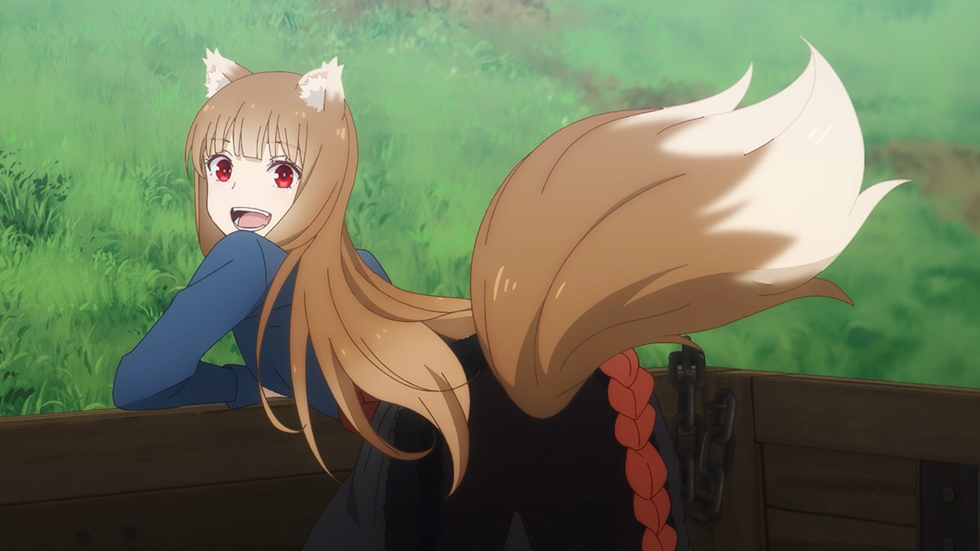 A screenshot of Holo from the anime Spice & Wolf. She is an attractive young woman with canine ears and a bushy wolf’s tail. She is sat in the back of a wooden carriage with a happy look on her face.