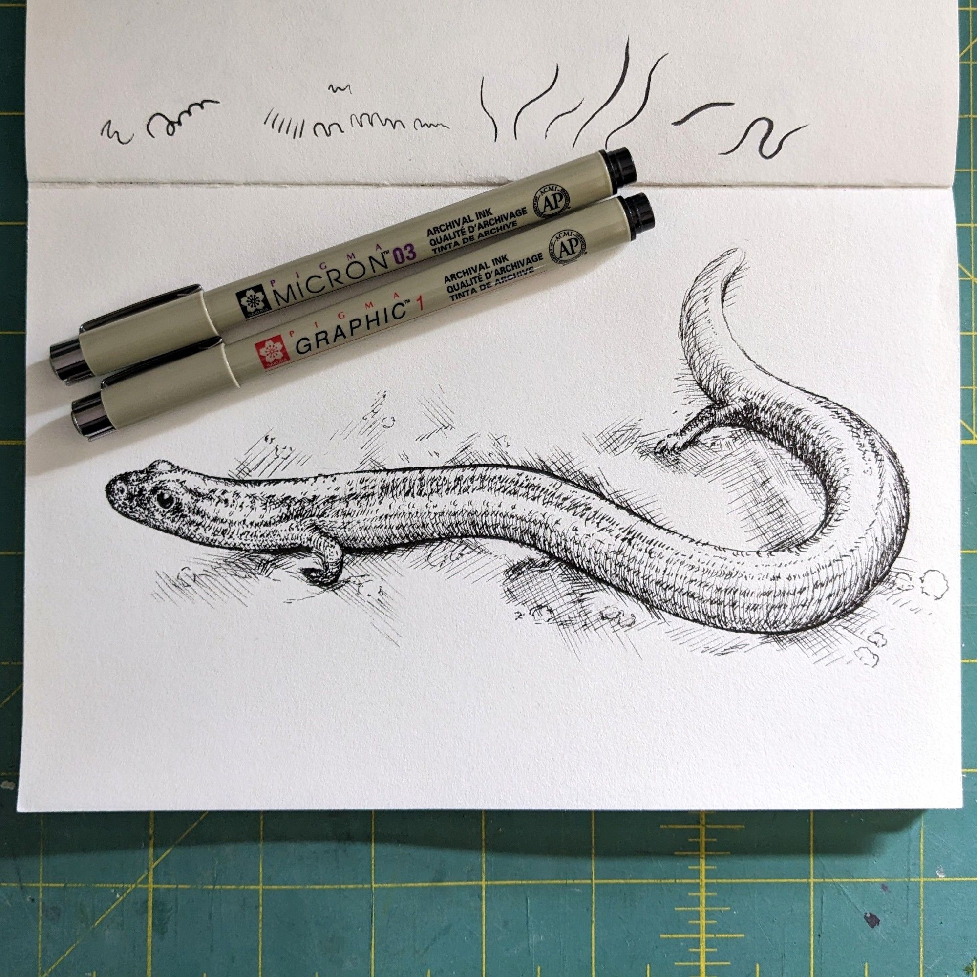 Photo of a black and white ink drawing of a Siamese Supple Skink. The skink has a long, snake-like body and teeny tiny legs.