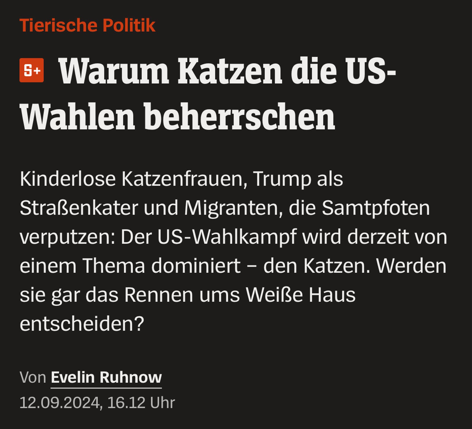 Tierische Politik

Warum Katzen die US-Wahlen beherrschen

Kinderlose Katzenfrauen, Trump als Straßenkater und Migranten, die Samtpfoten verputzen: Der US-Wahlkampf wird derzeit von einem Thema dominiert - den Katzen. Werden sie gar das Rennen ums Weiße Haus entscheiden?

Von Evelin Ruhnow 12.09.2024, 16.12 Uhr