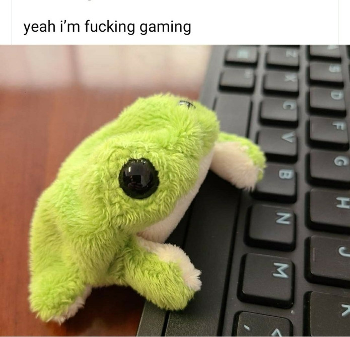 Small plush frog on a keyboard with the caption yeah I'm fucking gaming 