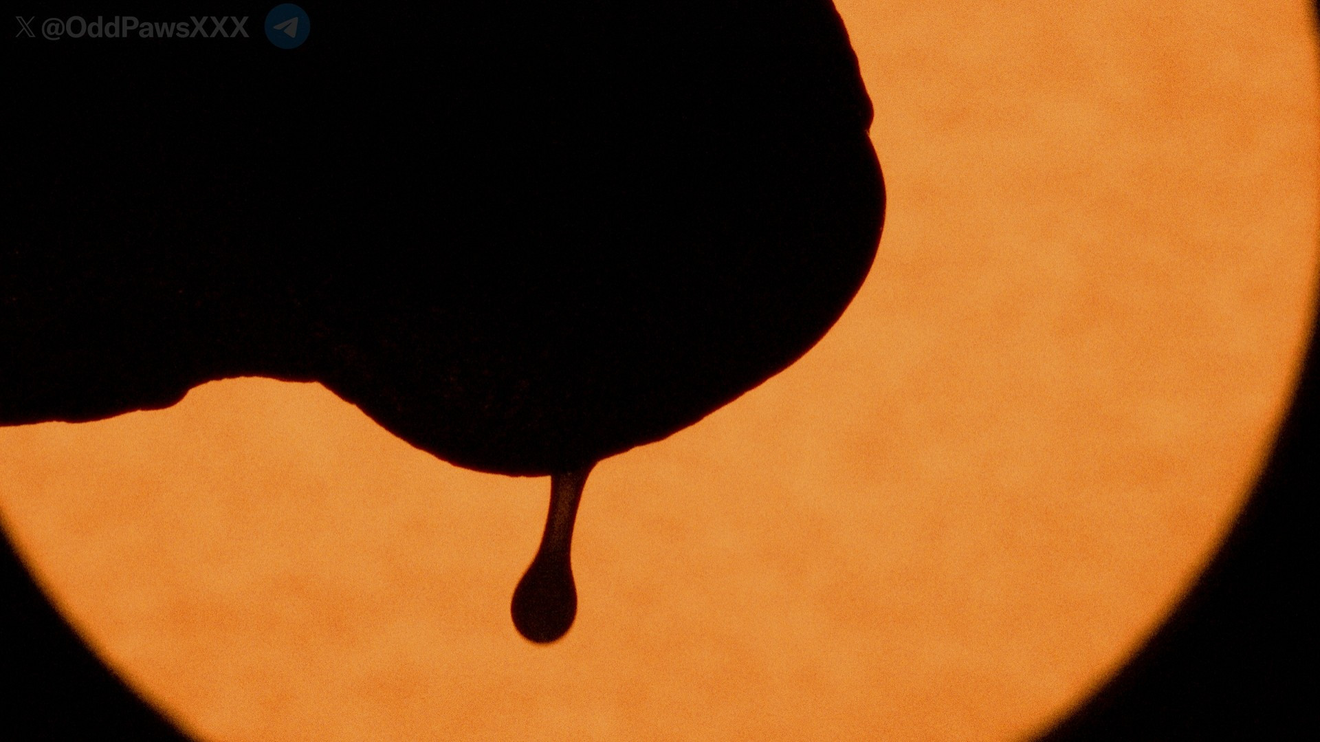 A close-up photo showing a penis eclipsing the sun while a large cum drip falls from the penis. The penis is effectively a silhouette against the bright orange sphere.