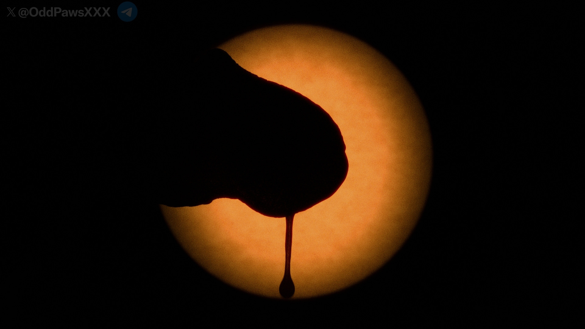 A photo showing a penis eclipsing the sun while a large cum drip falls from the penis. The penis is effectively a silhouette against the bright orange sphere.