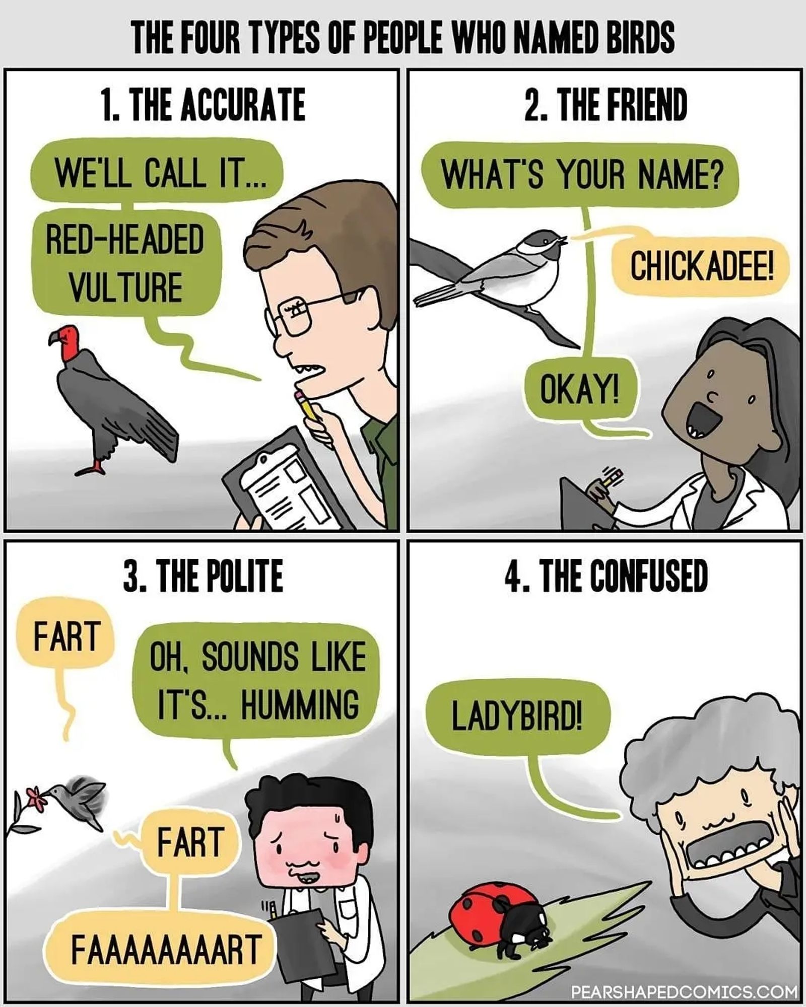 The four types of people who named birds:
1: The accurate (calls a red-headed vulture just that)
2: The friend (asks a bird: what's your name? and calls it chickadee)
3. The polite (calls a hummingbird hummingbird instead of fartingbird)
4. The confused (calls an insect ladybird)