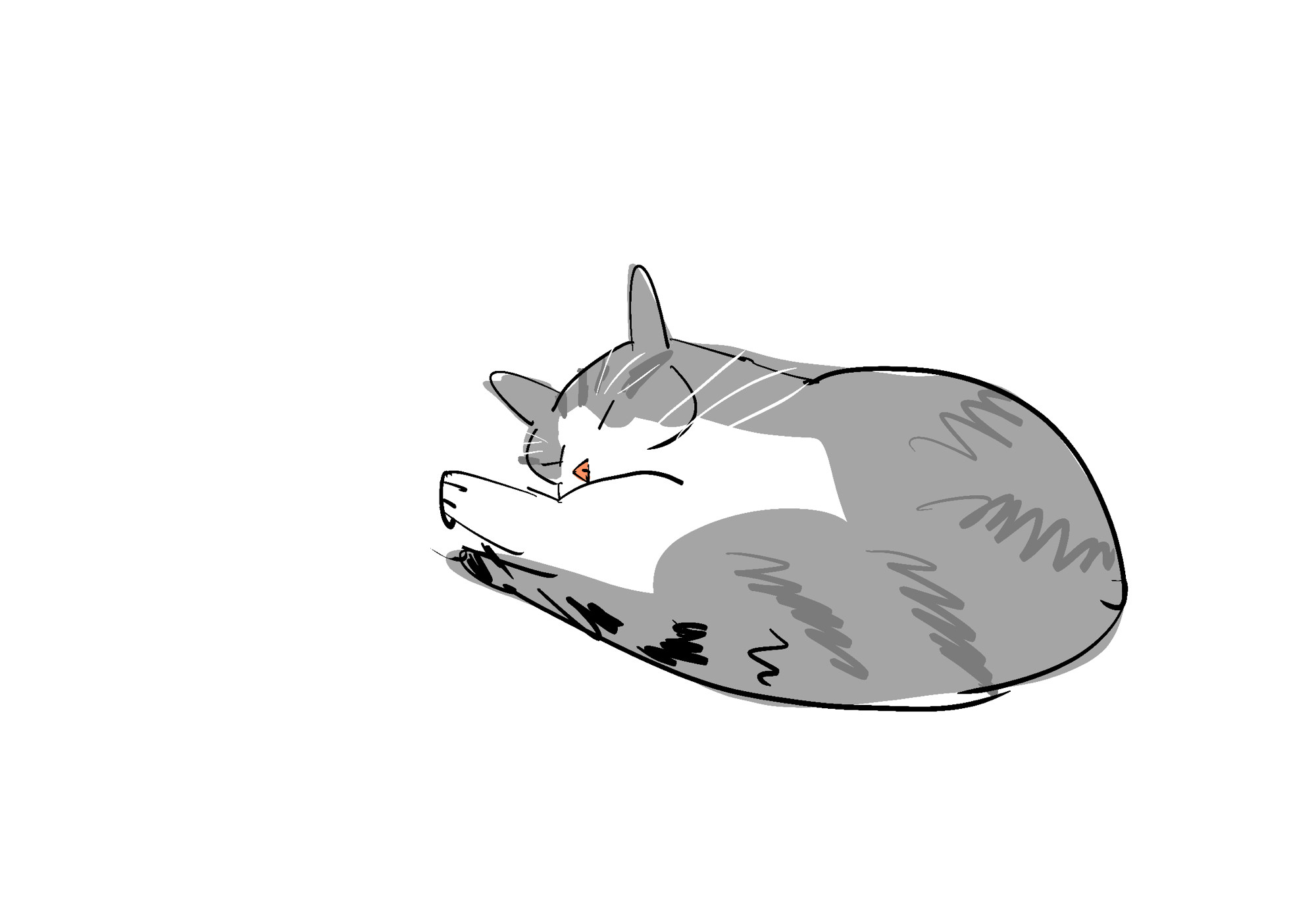 drawing of gray and white tabby cat sleeping