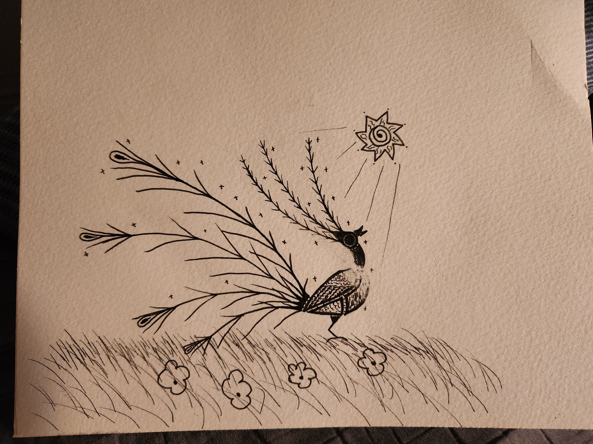 Stylized black and white pen drawing of a peacock standing amongst flowers and basking in the sun.