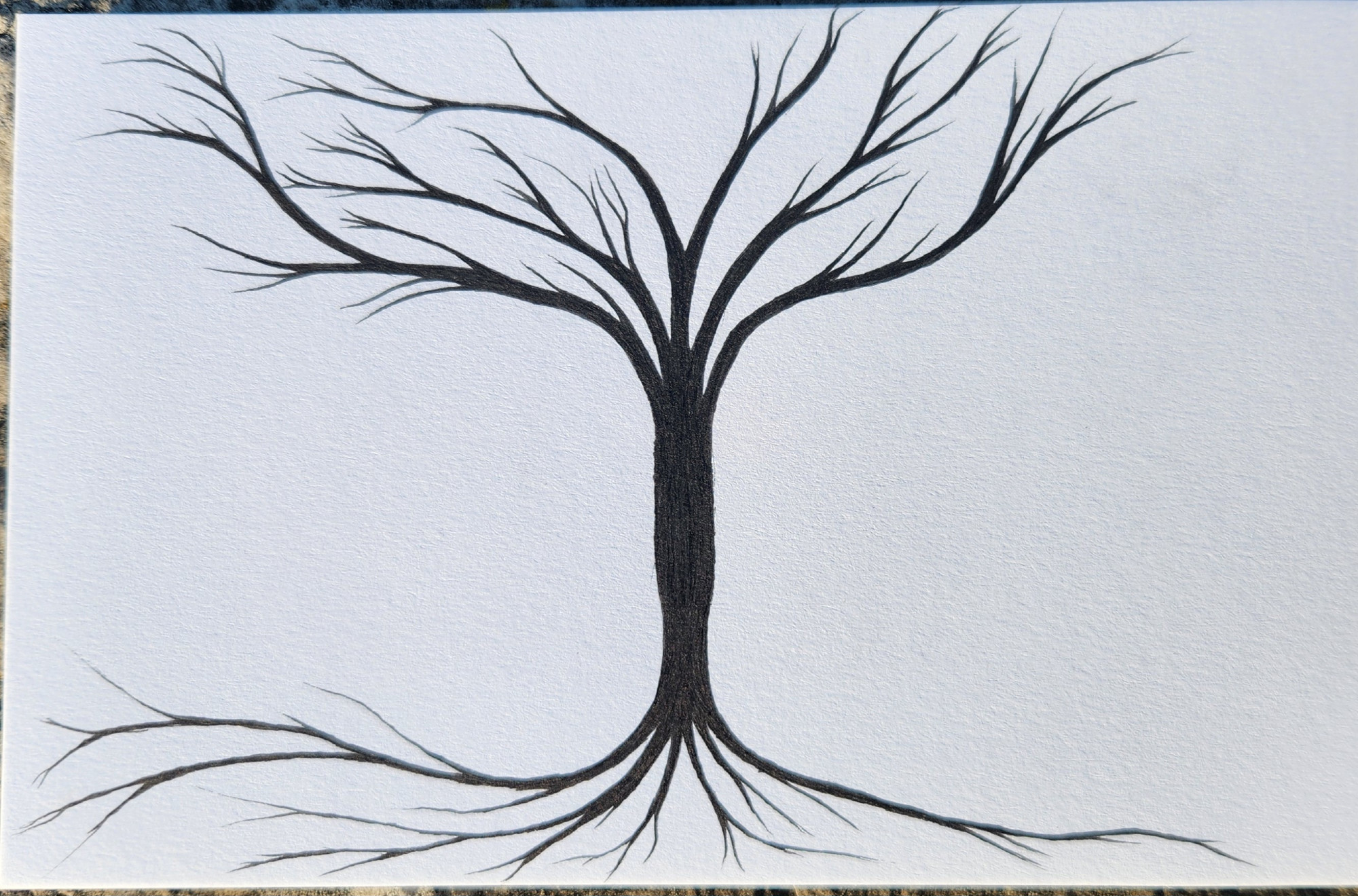 An abstract black and white pen drawing resembling a dead tree and its roots.