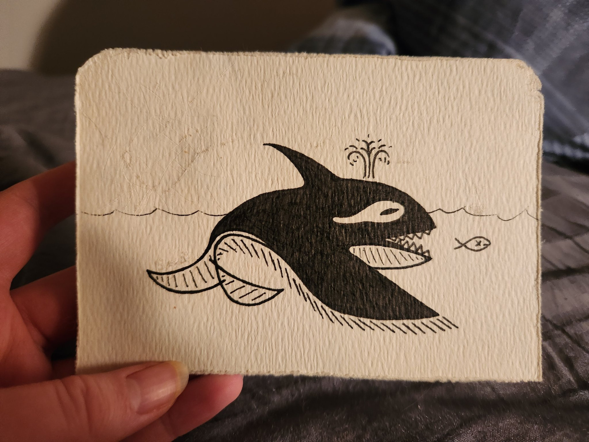 Stylized black and white pen drawing of an orca chasing a small fish.