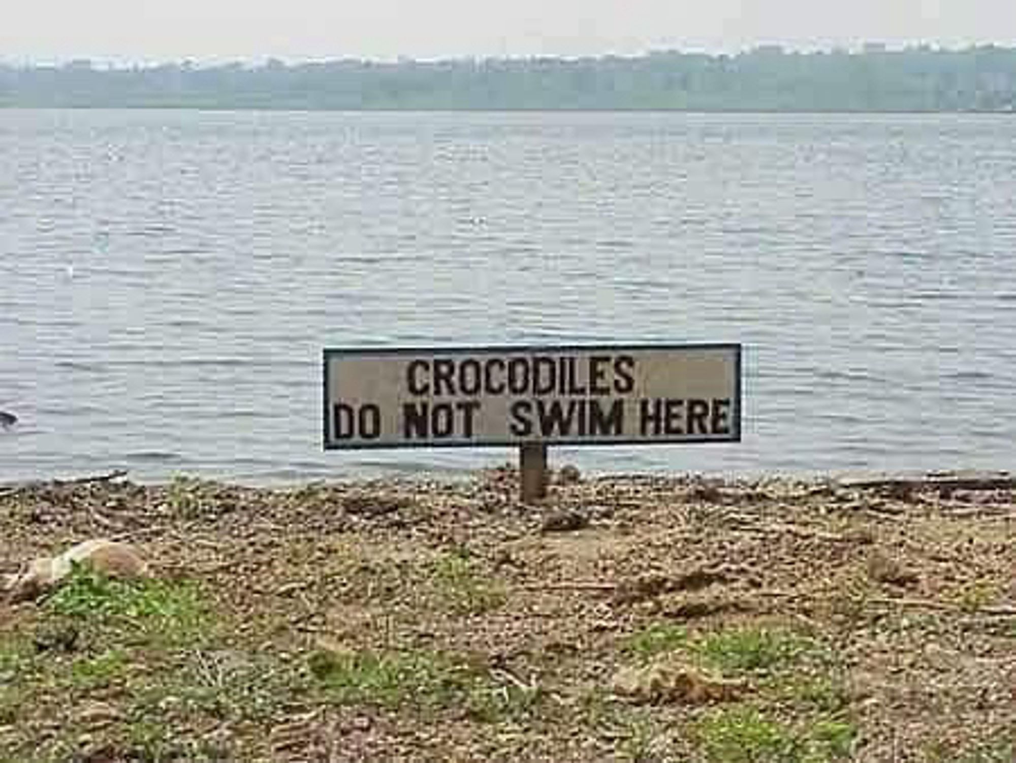 Lake or river view with sign in front saying “crocodiles do not swim here”.