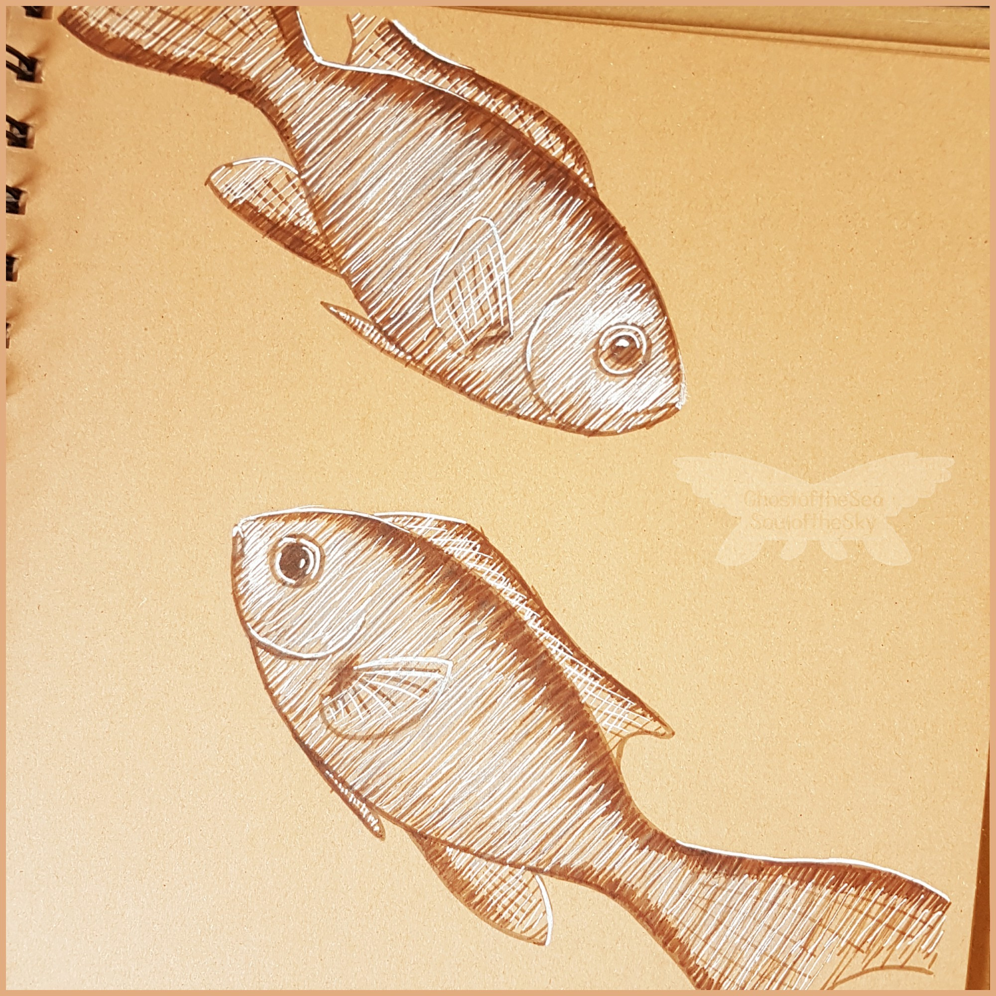 Photo of a line drawing on beige toned paper of a pair of blue chromis using sepia and white ink.