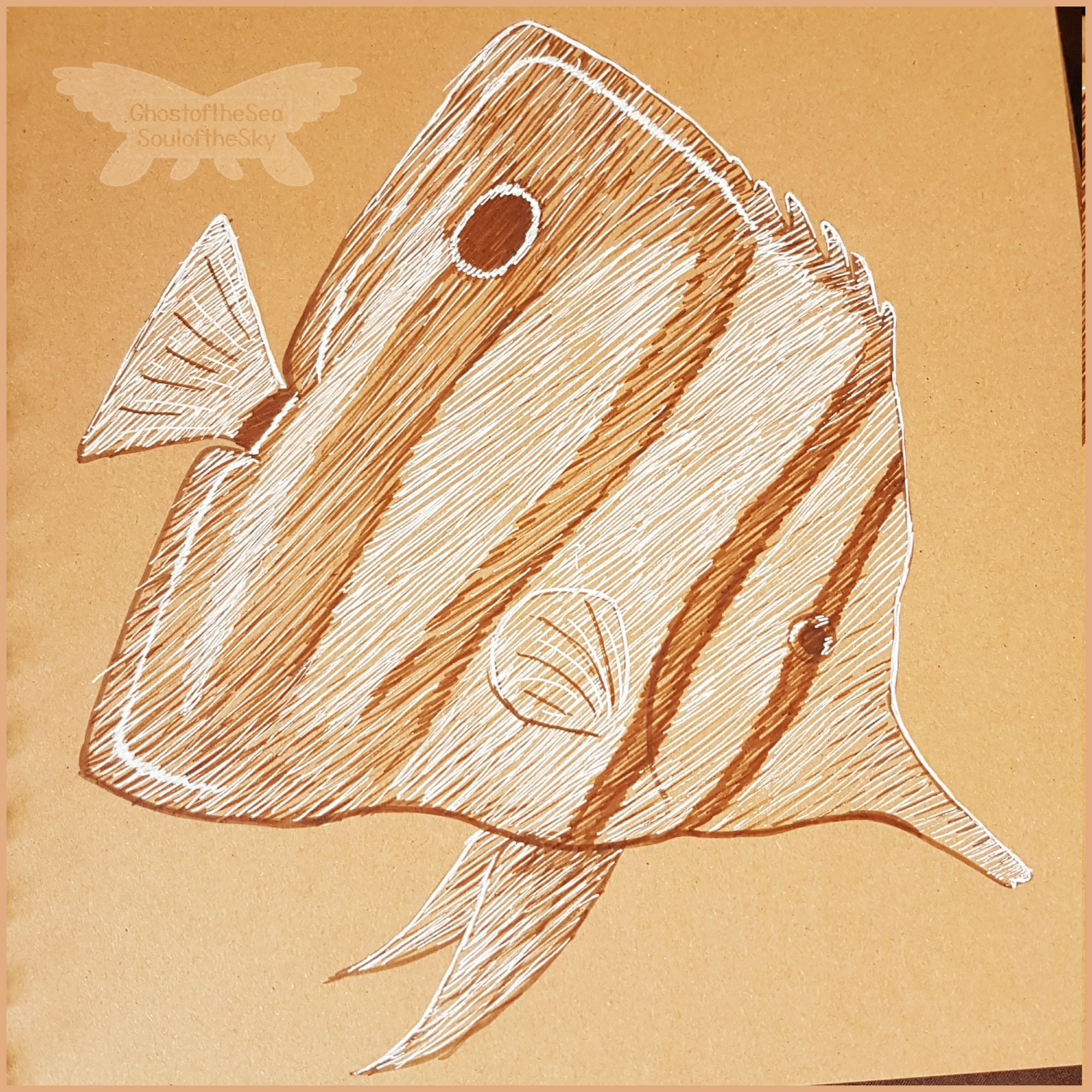 Photo of a line drawing on beige toned paper of copperband butterflyfish using sepia and white ink.