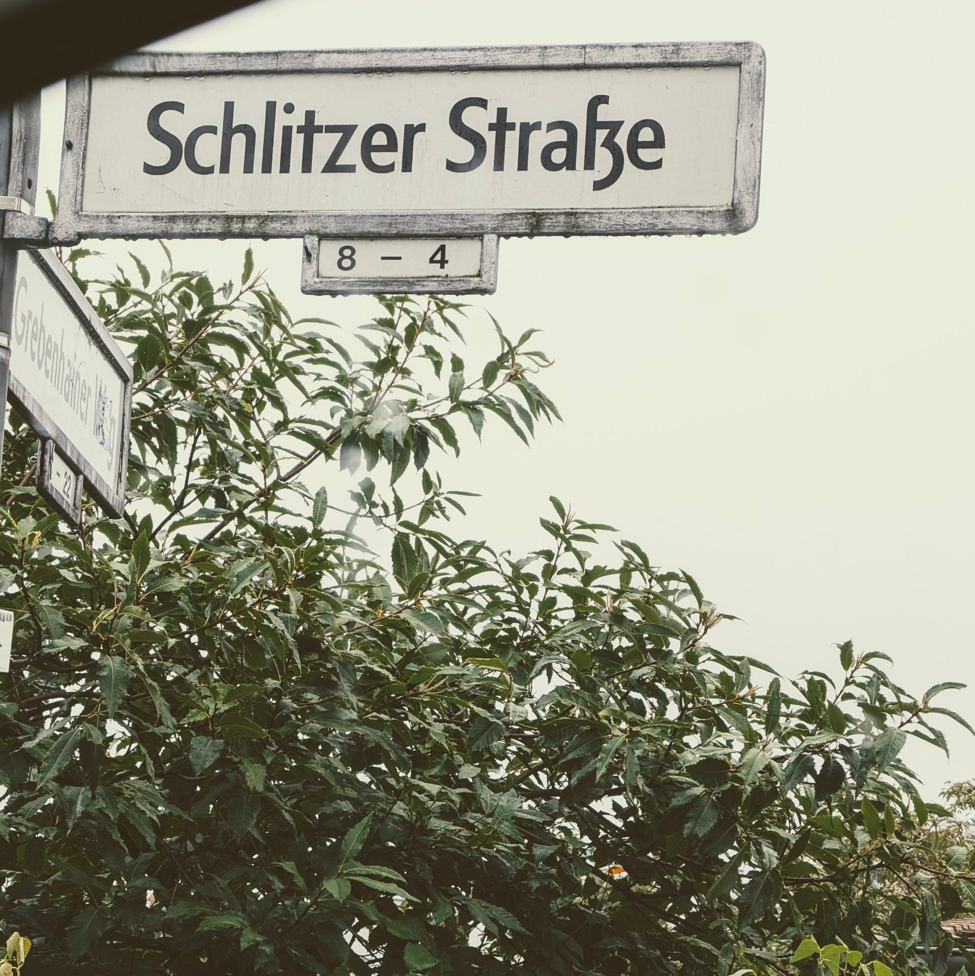 Ein Straßenschild "Schlitzer Straße". Darunter Botanik.