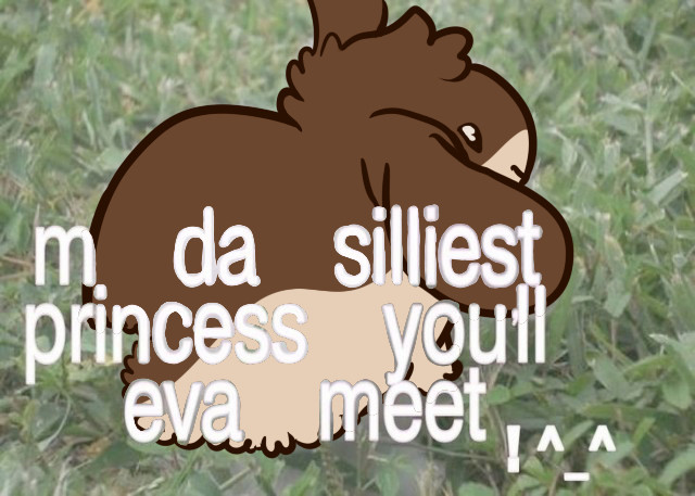 Drawn over meme of a brown and cream rabbit fursona. It’s curled up in a ball in a patch of grass, facing away and to the right of the viewer. It’s ears flopped in different directions, and it has a mischievous look on its face. Over top is text that reads “m da silliest princess you’ll eva meet ^_^”