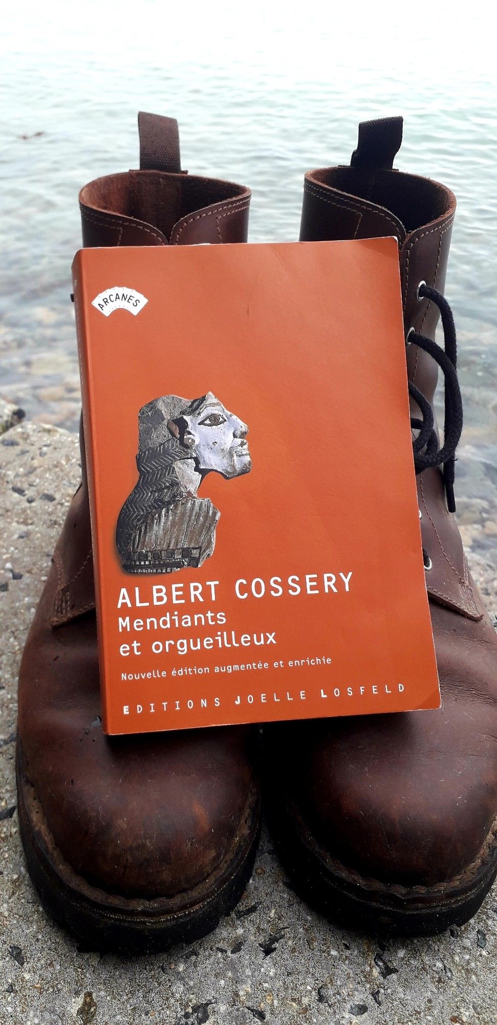 Couverture du livre d'Albert Cossery, "Mendiants et orgueilleux" aux éditions Joëlle Losfeld. Collection Arcanes. 
Photo prise dans une crique en Bretagne Nord et la mer est haute. 
Le bouquin est posé sur mes grôles.