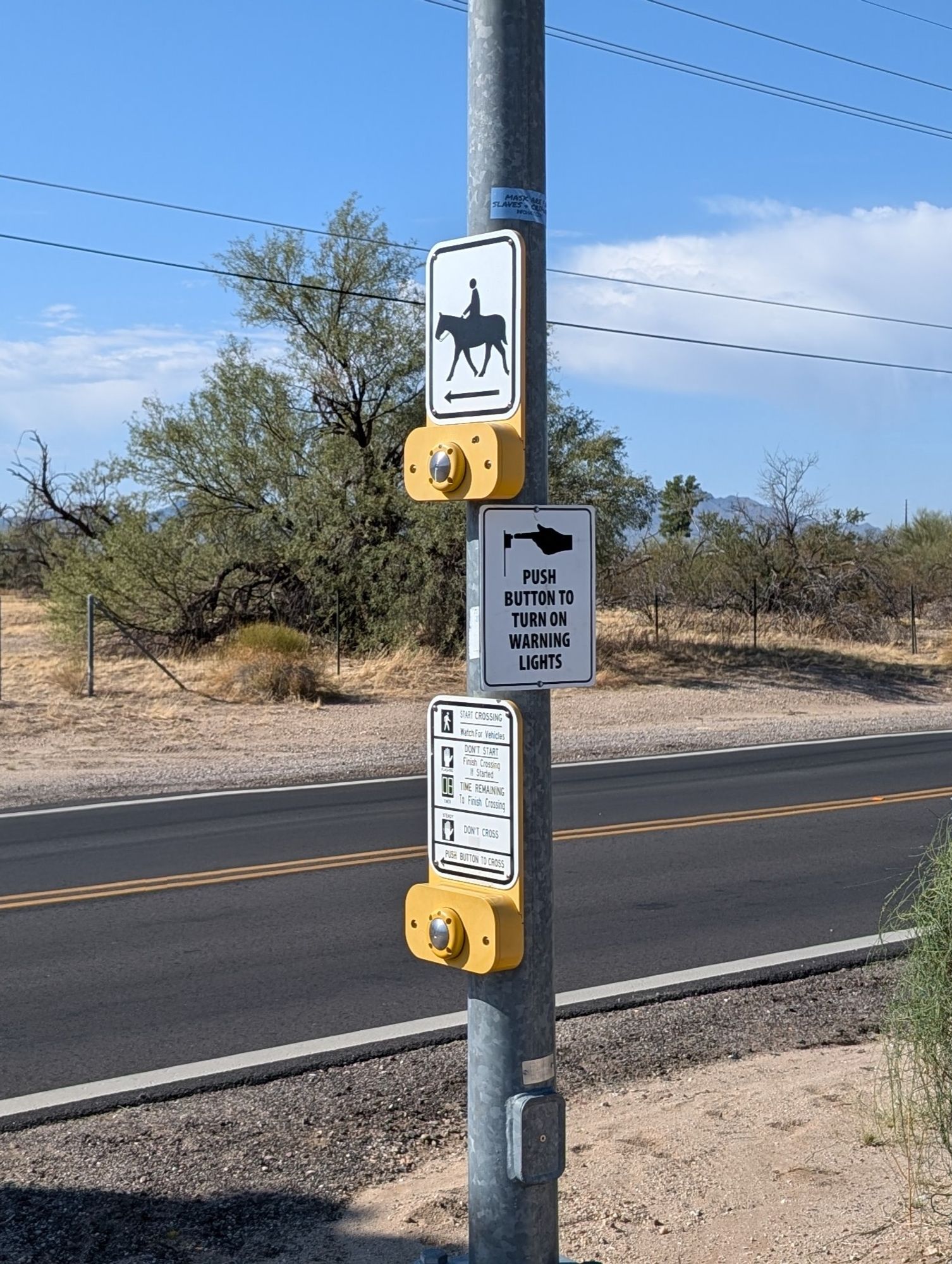 A pole with two buttons to activate lights at a street crossing. One is placed at a comfortable height for a pedestrian or cyclist. The other is several feet higher and labeled with a stencil sign of a person riding a horse.