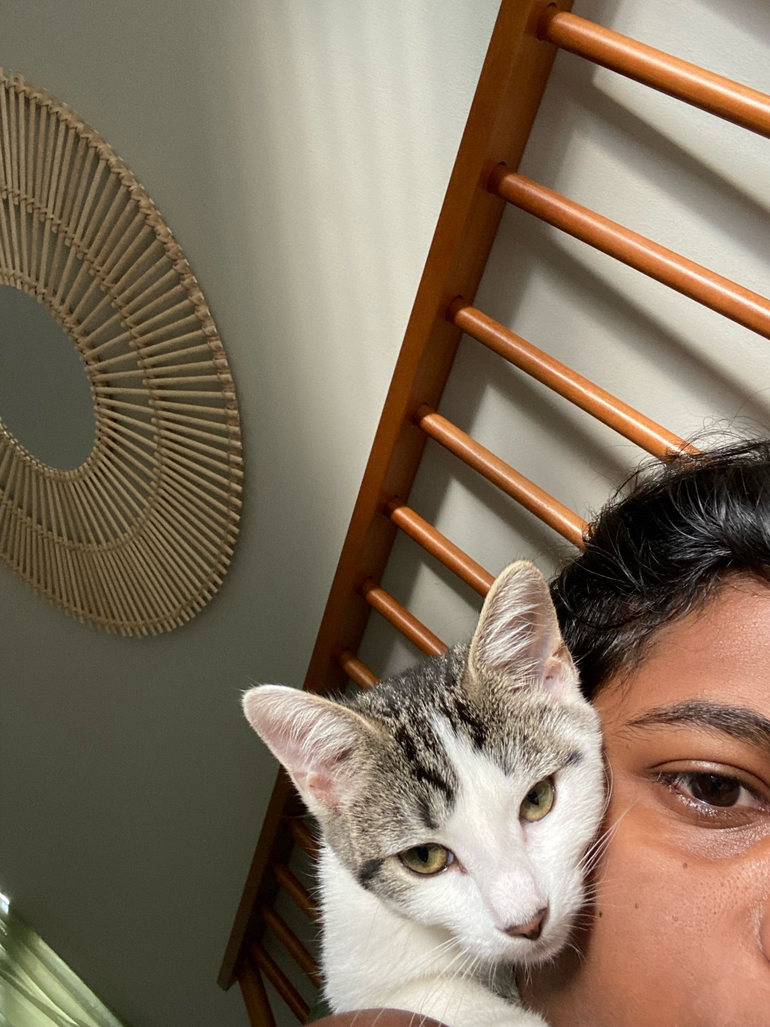 cat sitting on my face