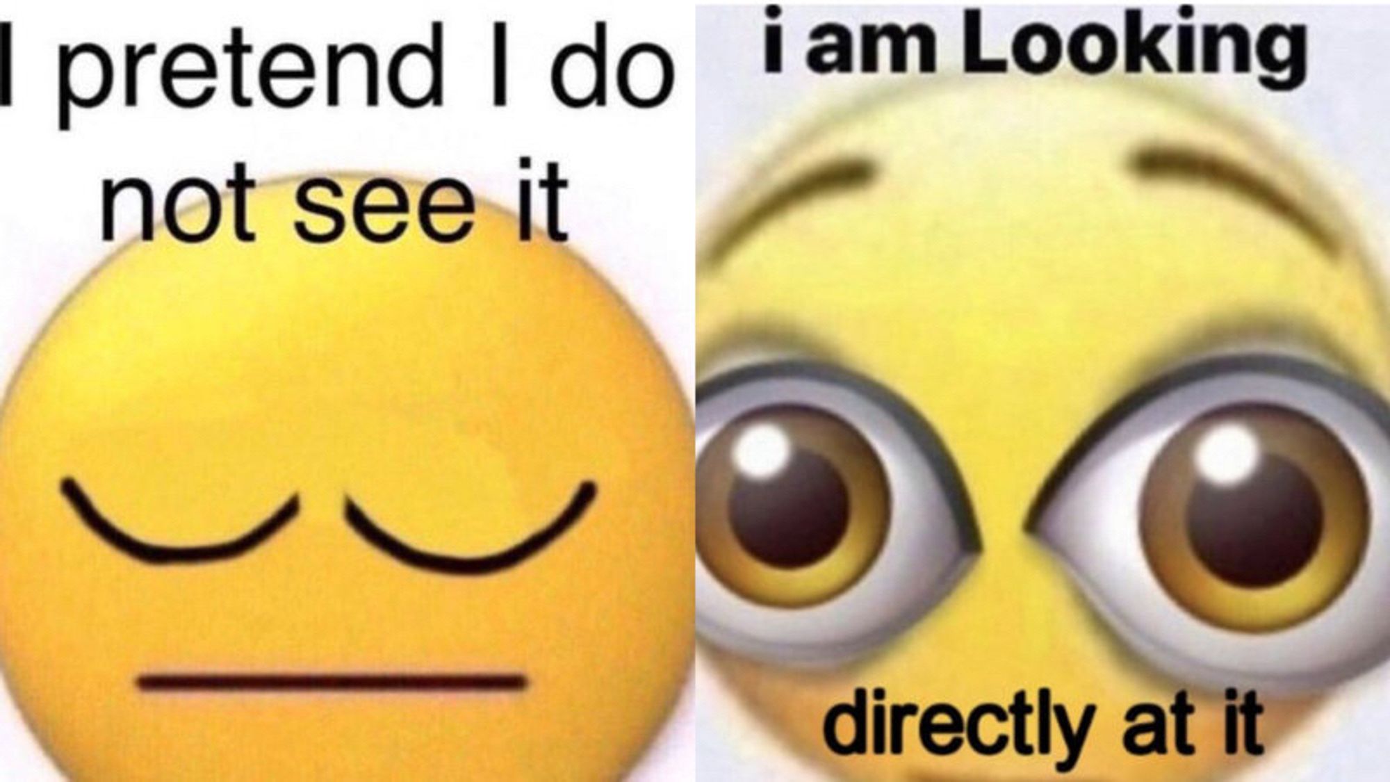 side by side of meme saying “i pretend i do not see it” and “i am looking directly at it”