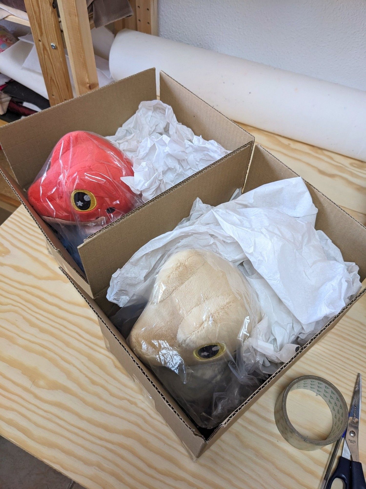 Teo handmade lizard plushies in a shipping box