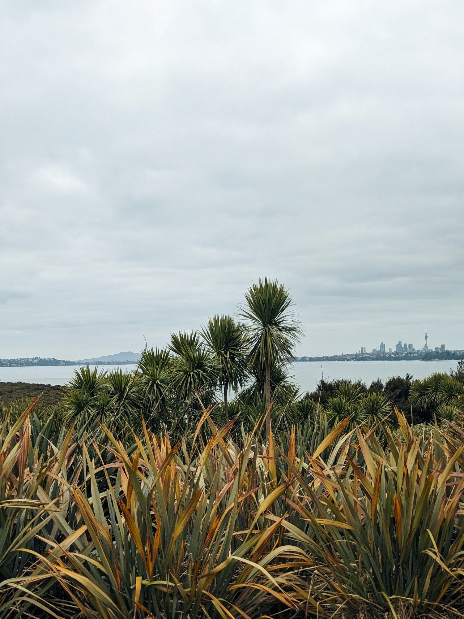 Overlooking the city skyline