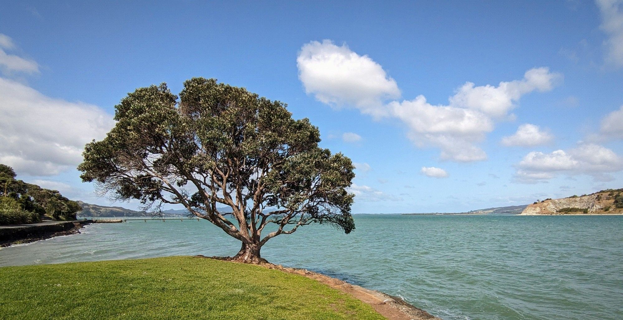 Leaning tree