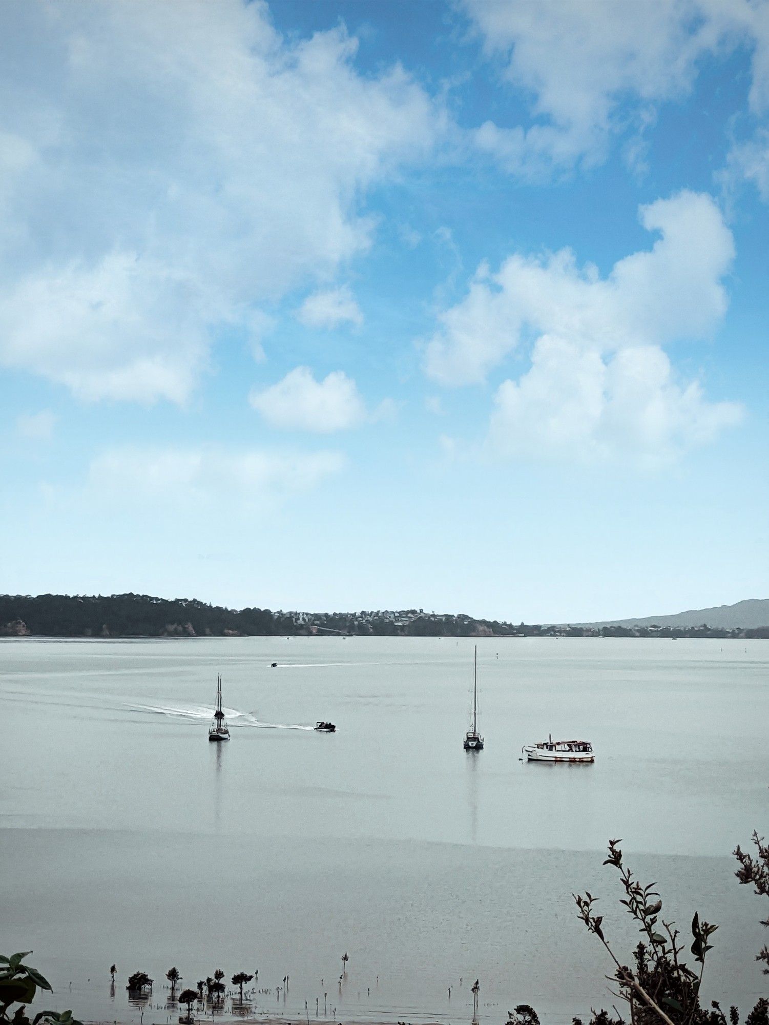 Boats in the harbour