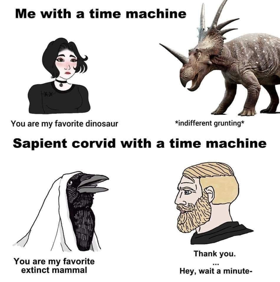 A meme depicting 2 events, the top says:

Me with a Time Machine

Doomer Girl: "You are my favorite dinosaur"
Styracosaurus: *indifferent grunting*

The bottom says:

Sapient corvid with a Time Machine

Sapient Corvid: "You are my favorite extinct mammal"
Chad: "Thank you.... Hey, wait a minute-"

