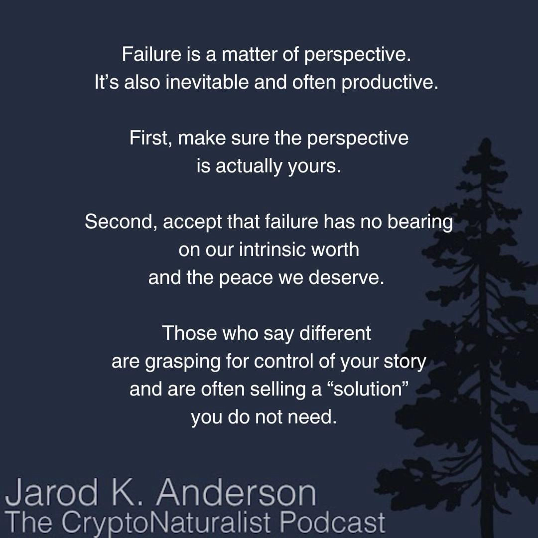 Failure is a matter of perspective. 
It’s also inevitable and often productive. 

First, make sure the perspective
is actually yours.

Second, accept that failure has no bearing
on our intrinsic worth
and the peace we deserve. 

Those who say different 
are grasping for control of your story
and are often selling a “solution”
you do not need.