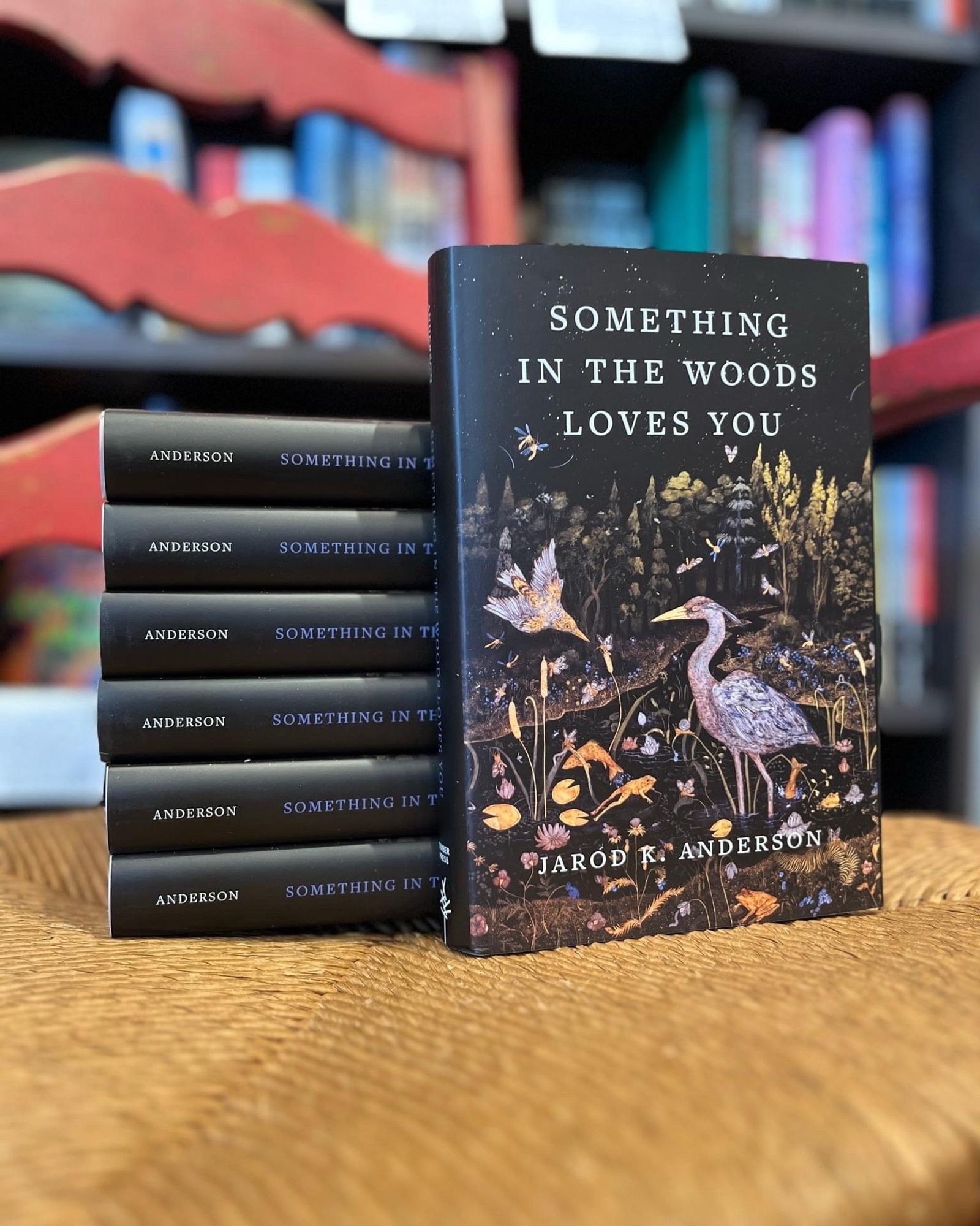 A stack of the book Something in the Woods Loves You.